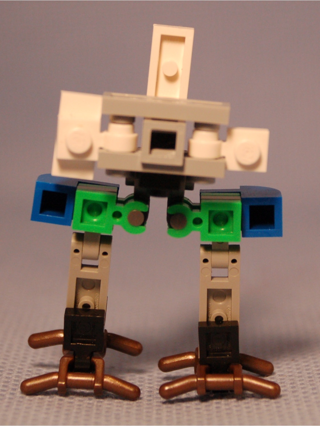 ostrich__rear.jpg