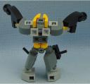 protector_rbf__rear.jpg
