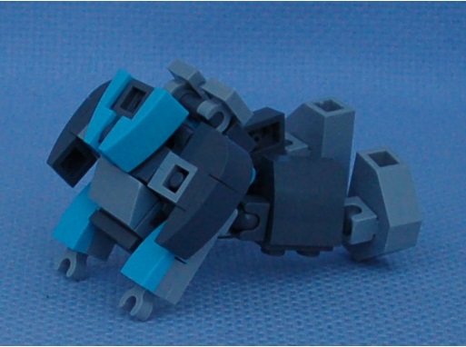 protector__pushups.jpg