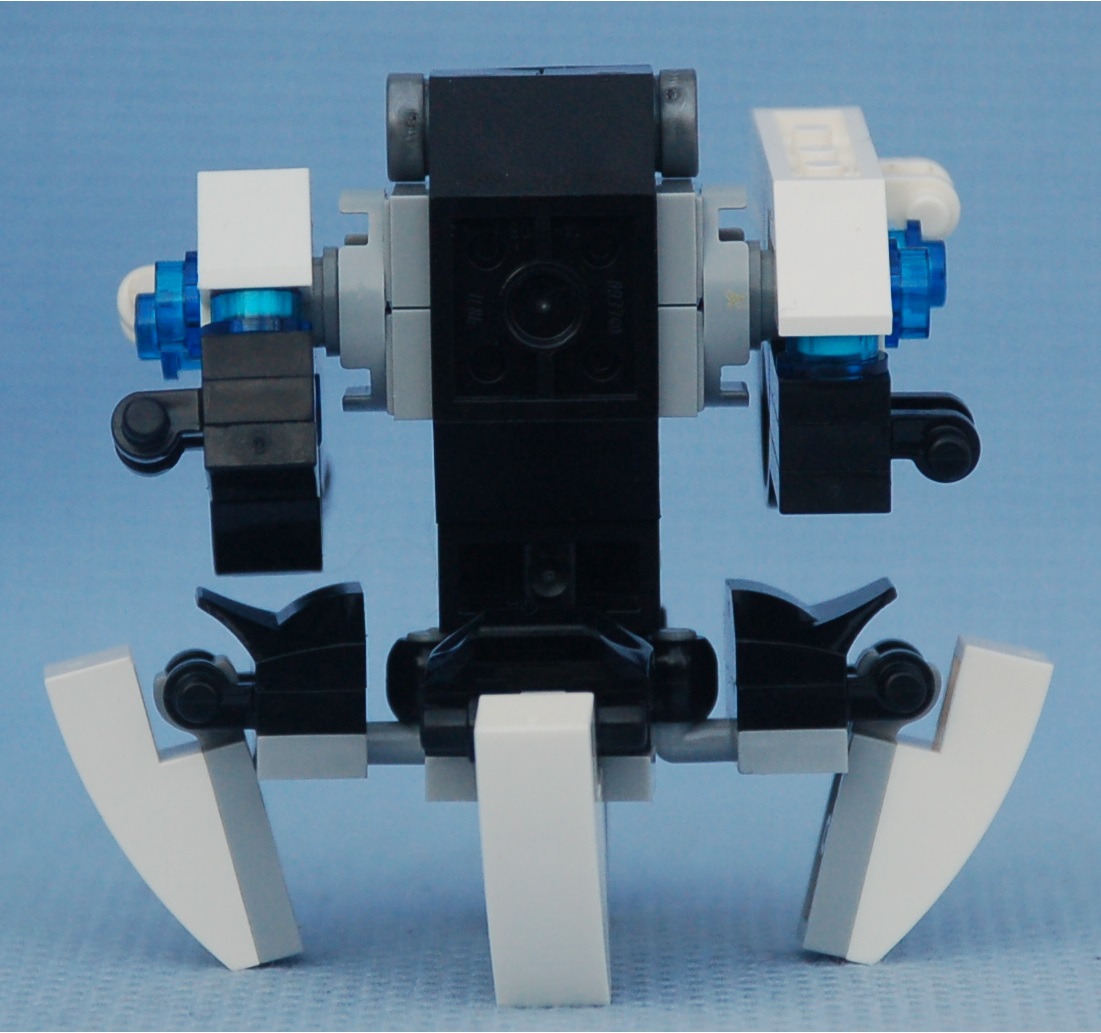 blue_strider__rear.jpg