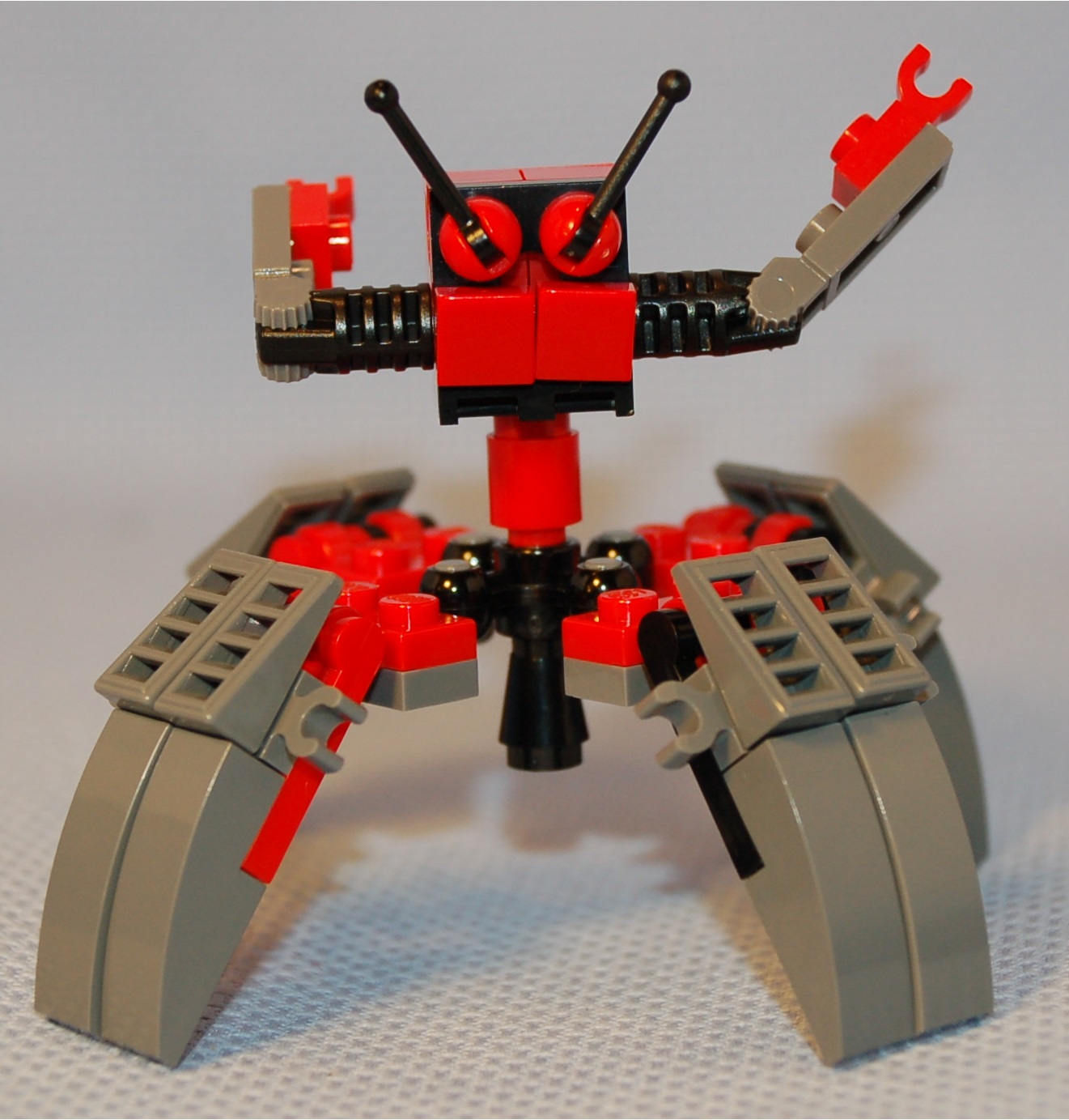 quad_3__rear.jpg