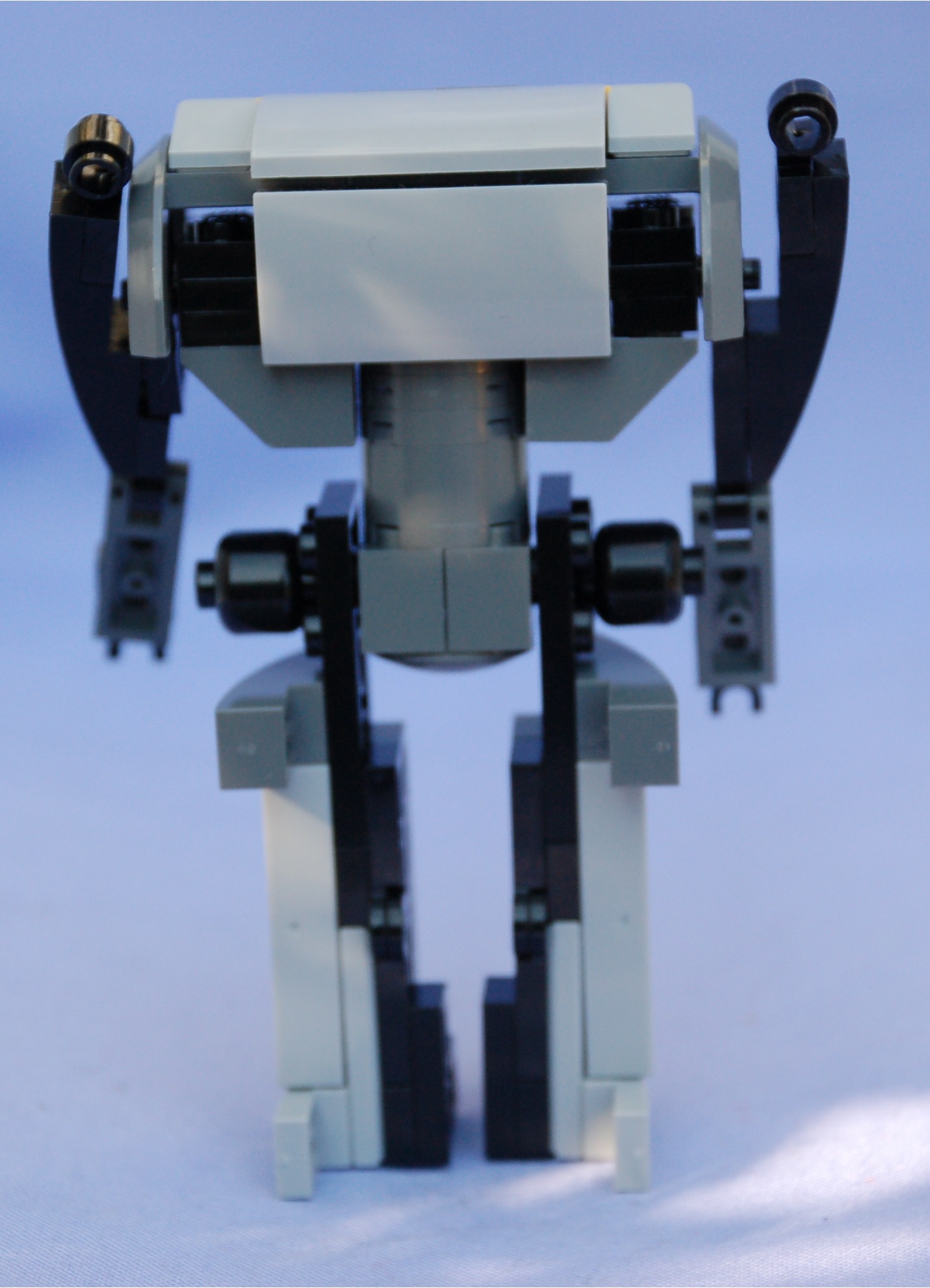 scarecrow__rear.jpg
