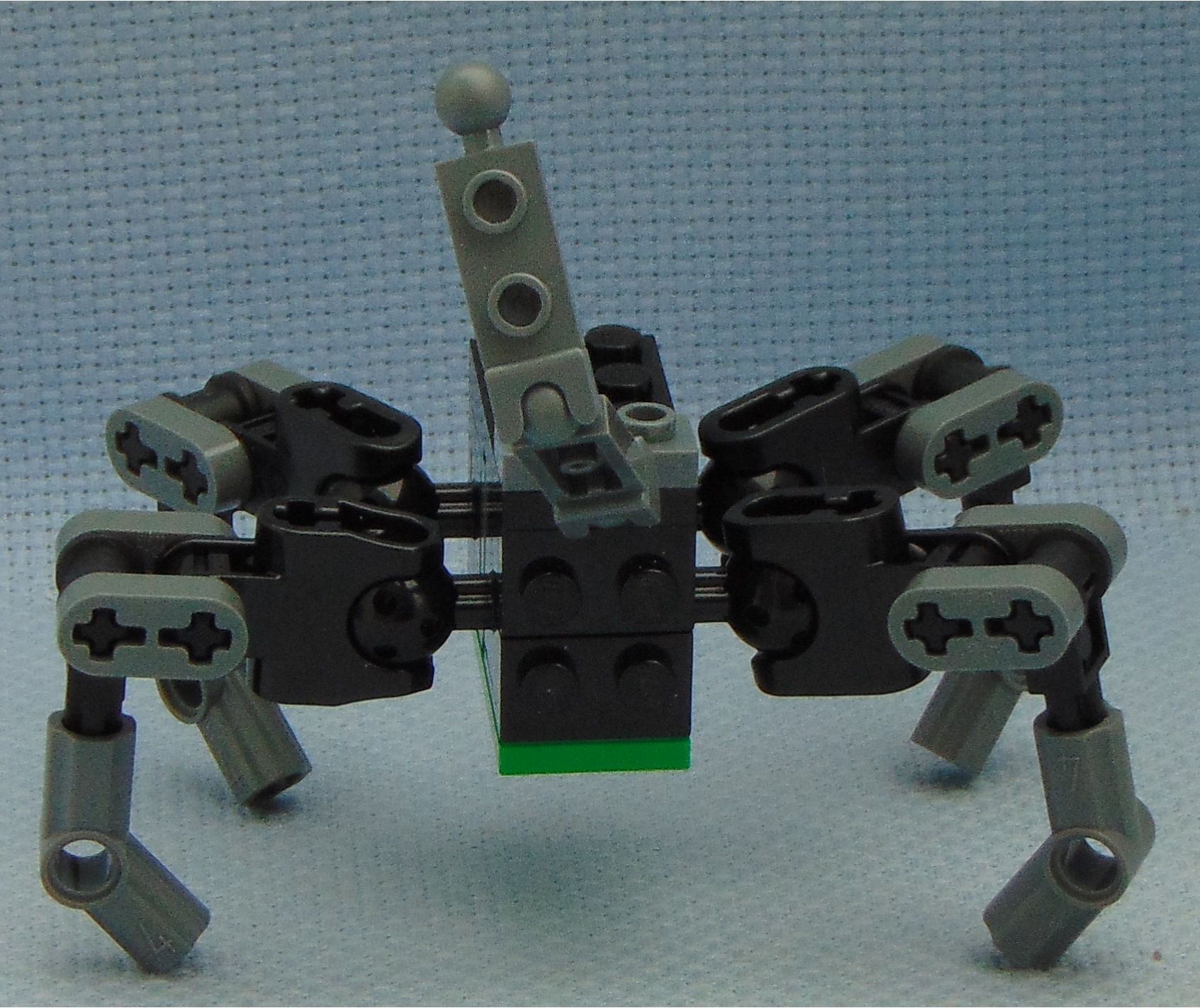 scorpion_1__rear.jpg