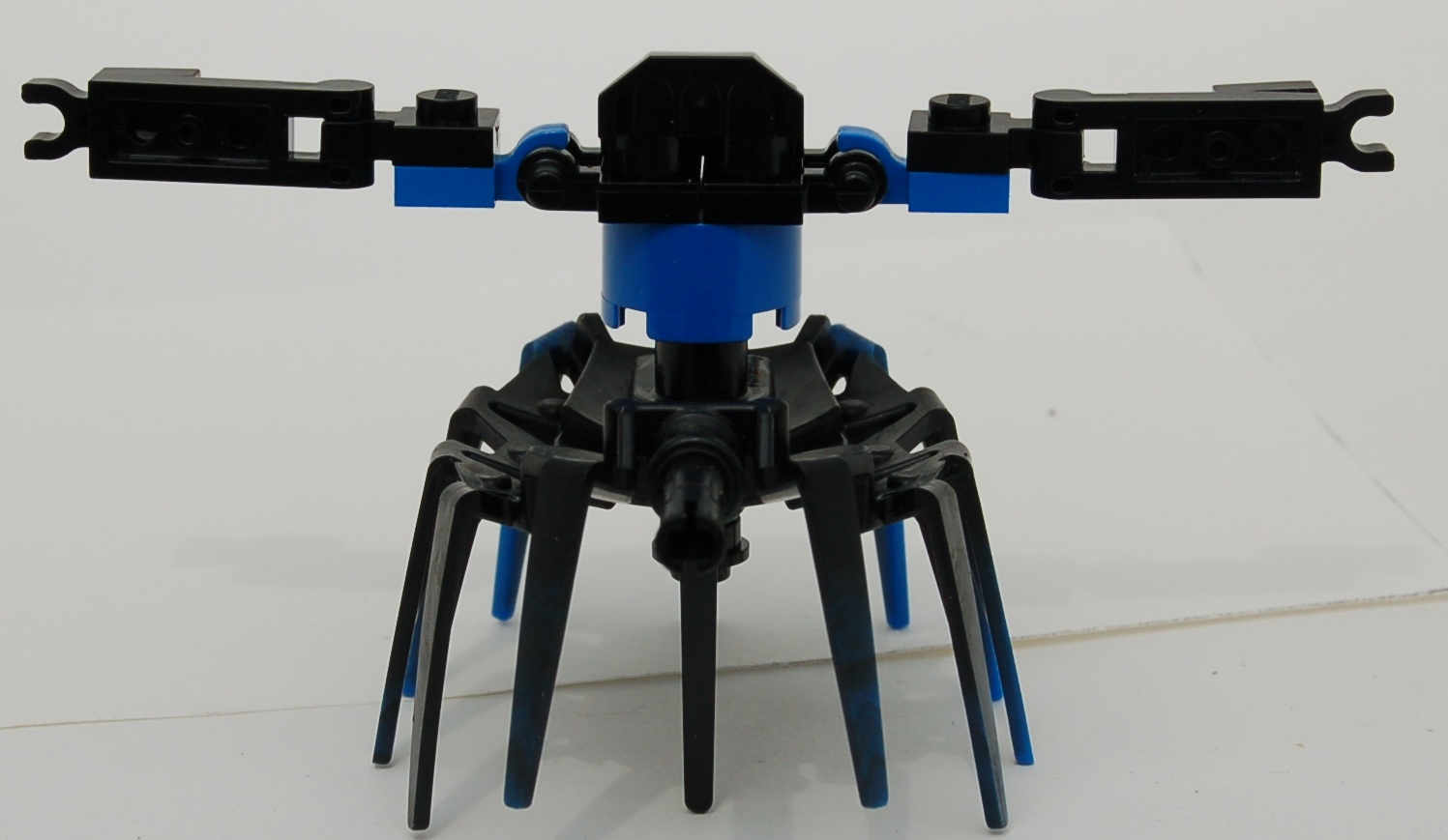 blue_spidaur_warrior_frame__rear.jpg