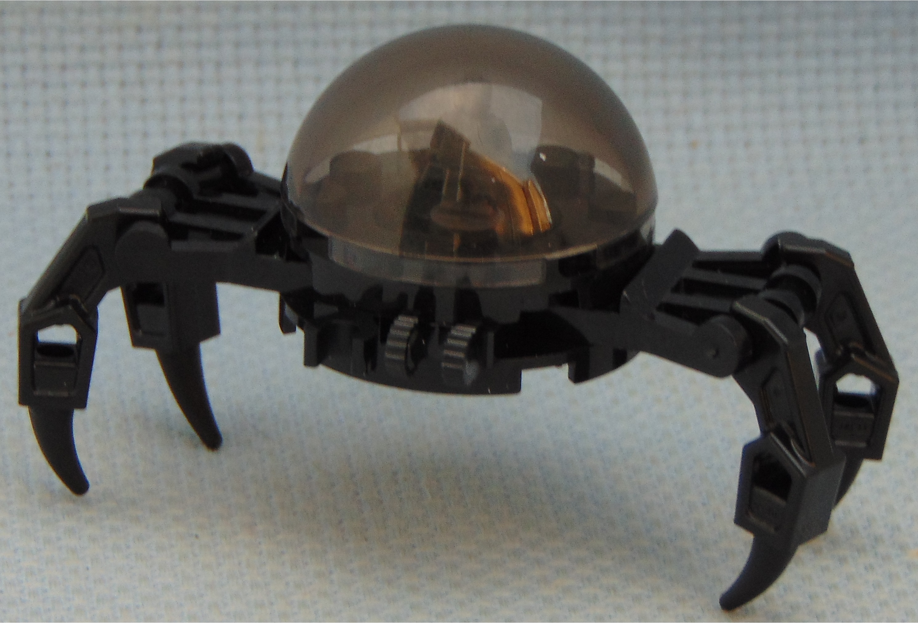big_spider__angle.jpg