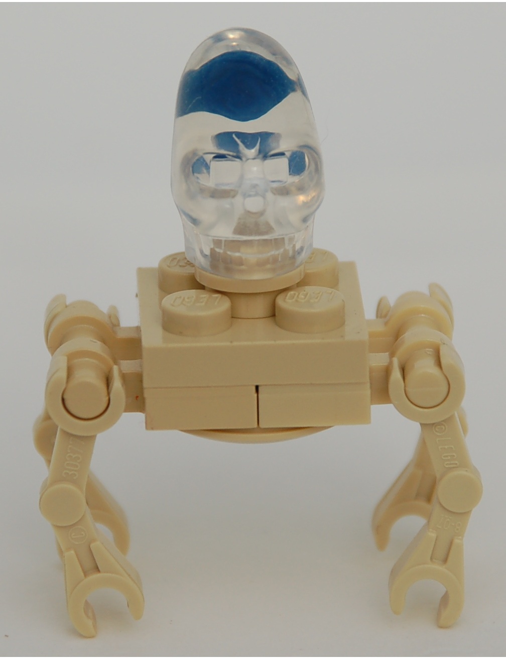crystal_skull_spider__front.jpg