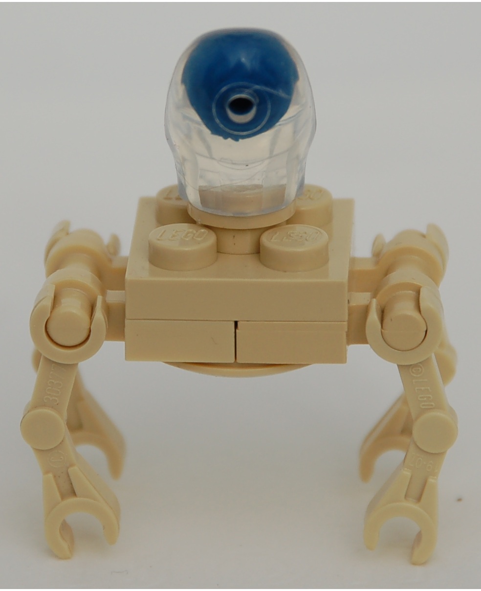 crystal_skull_spider__rear.jpg