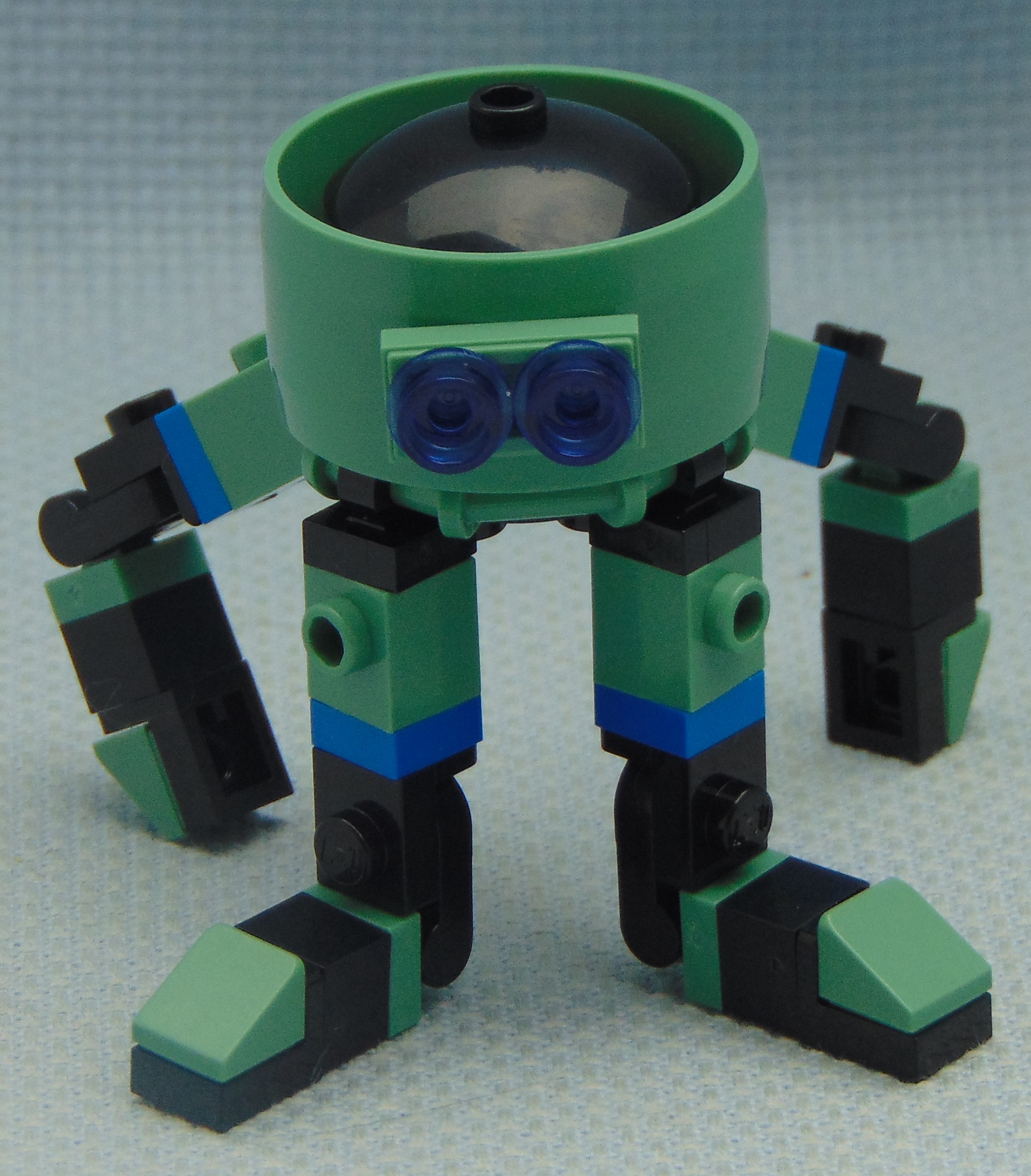 squid__front.jpg