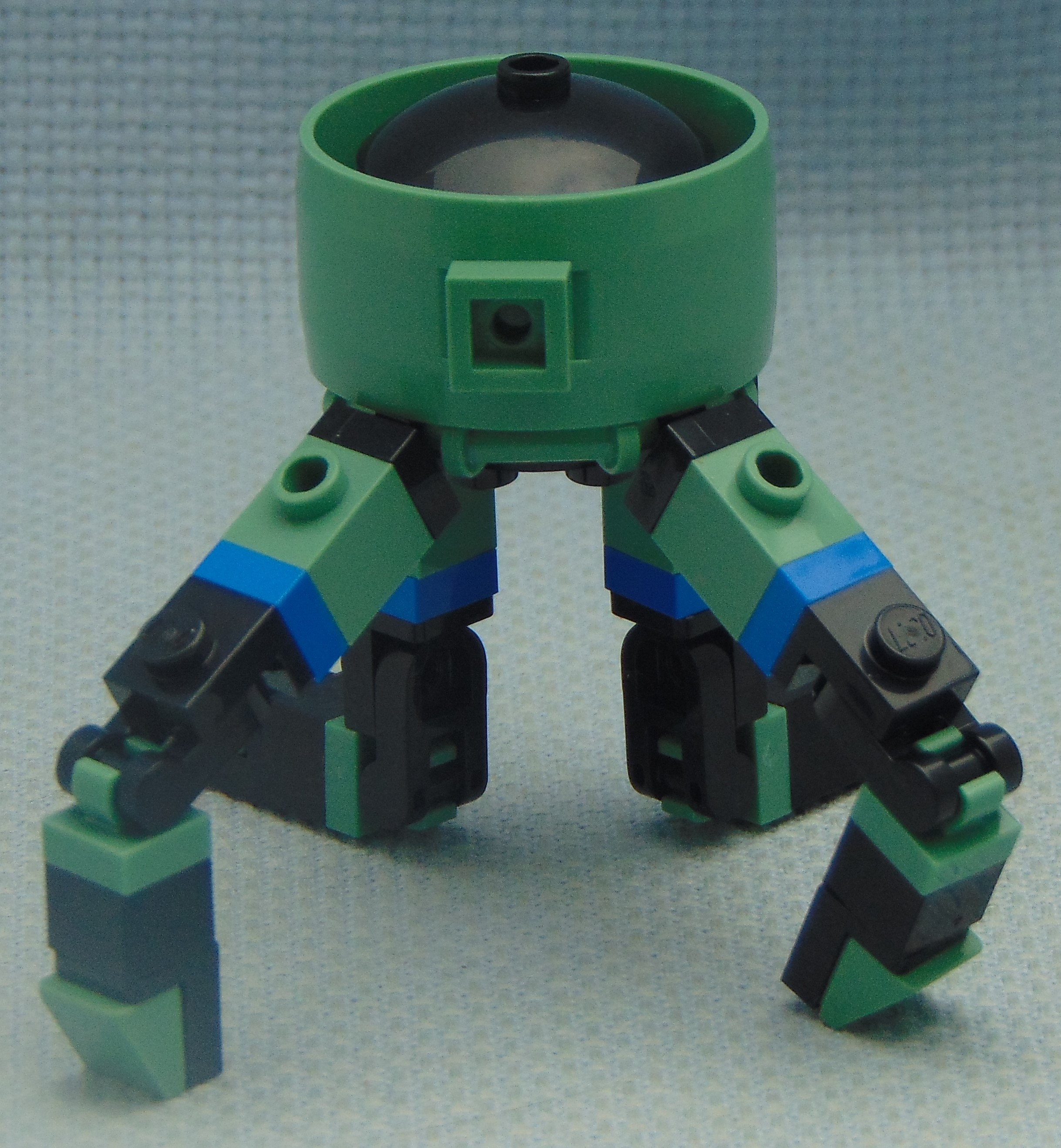 squid__rear.jpg