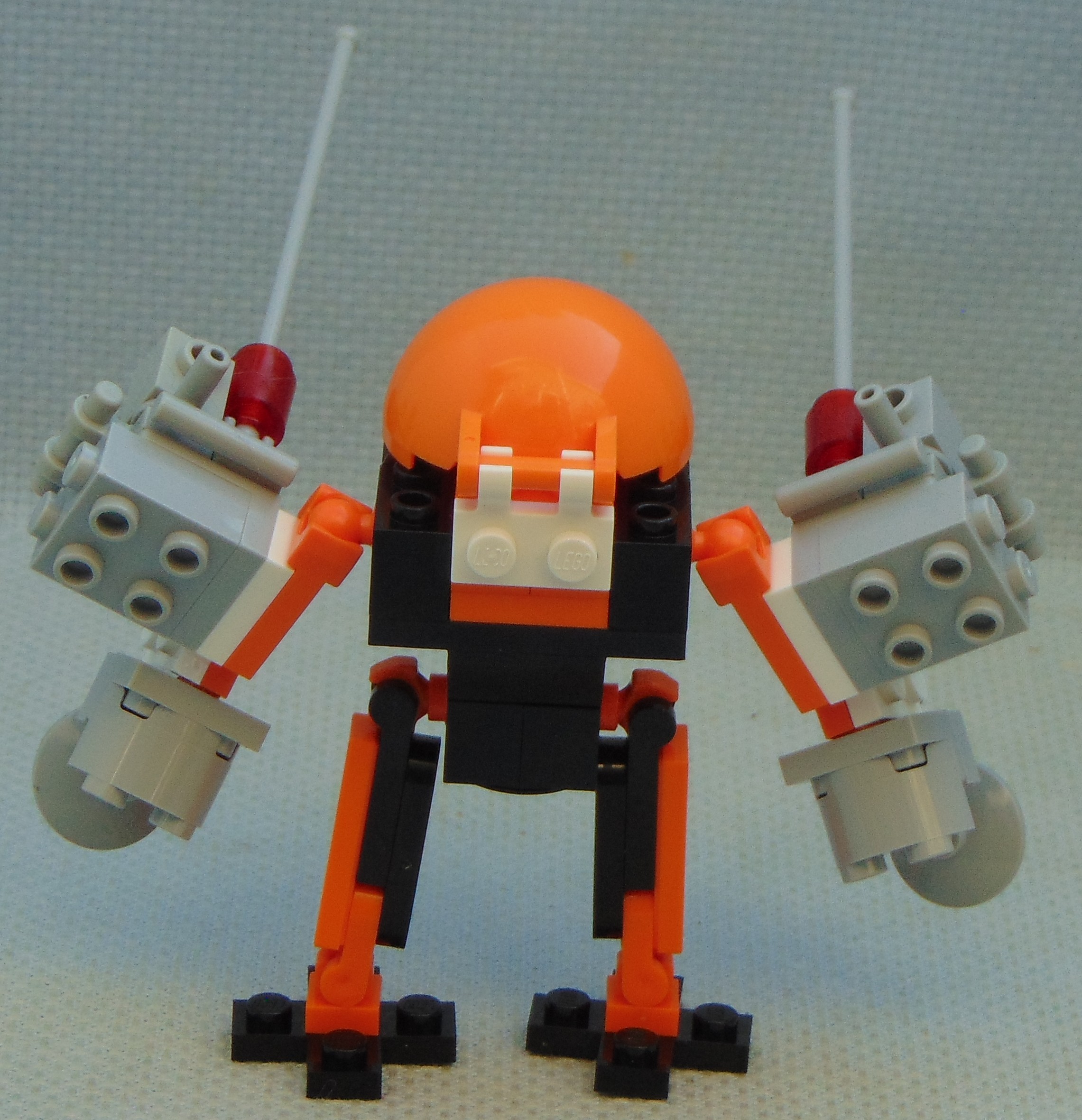 Standing_Turtle_RbF__rear.JPG