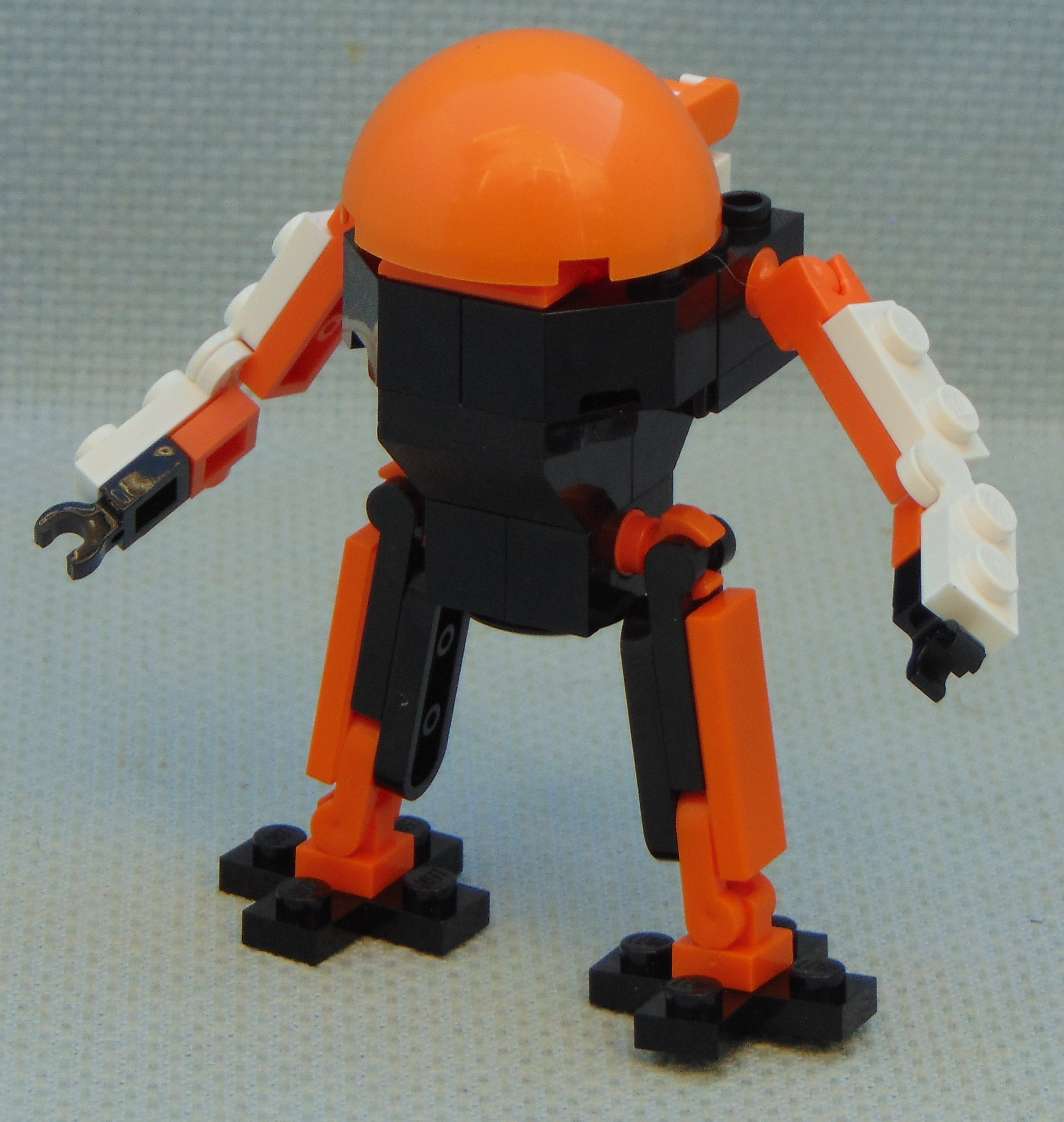 Standing_Turtle__angle.JPG