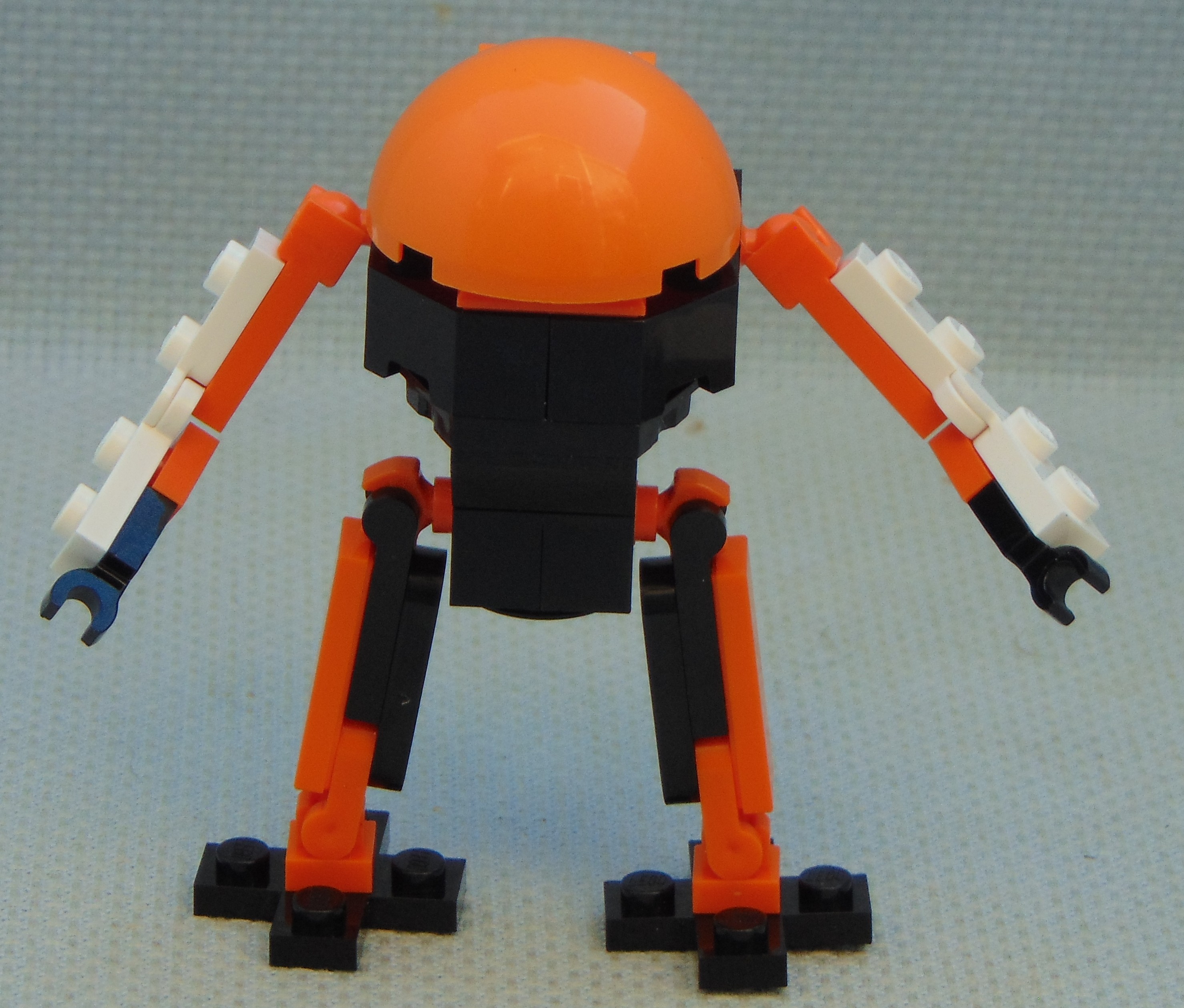 Standing_Turtle__front.JPG