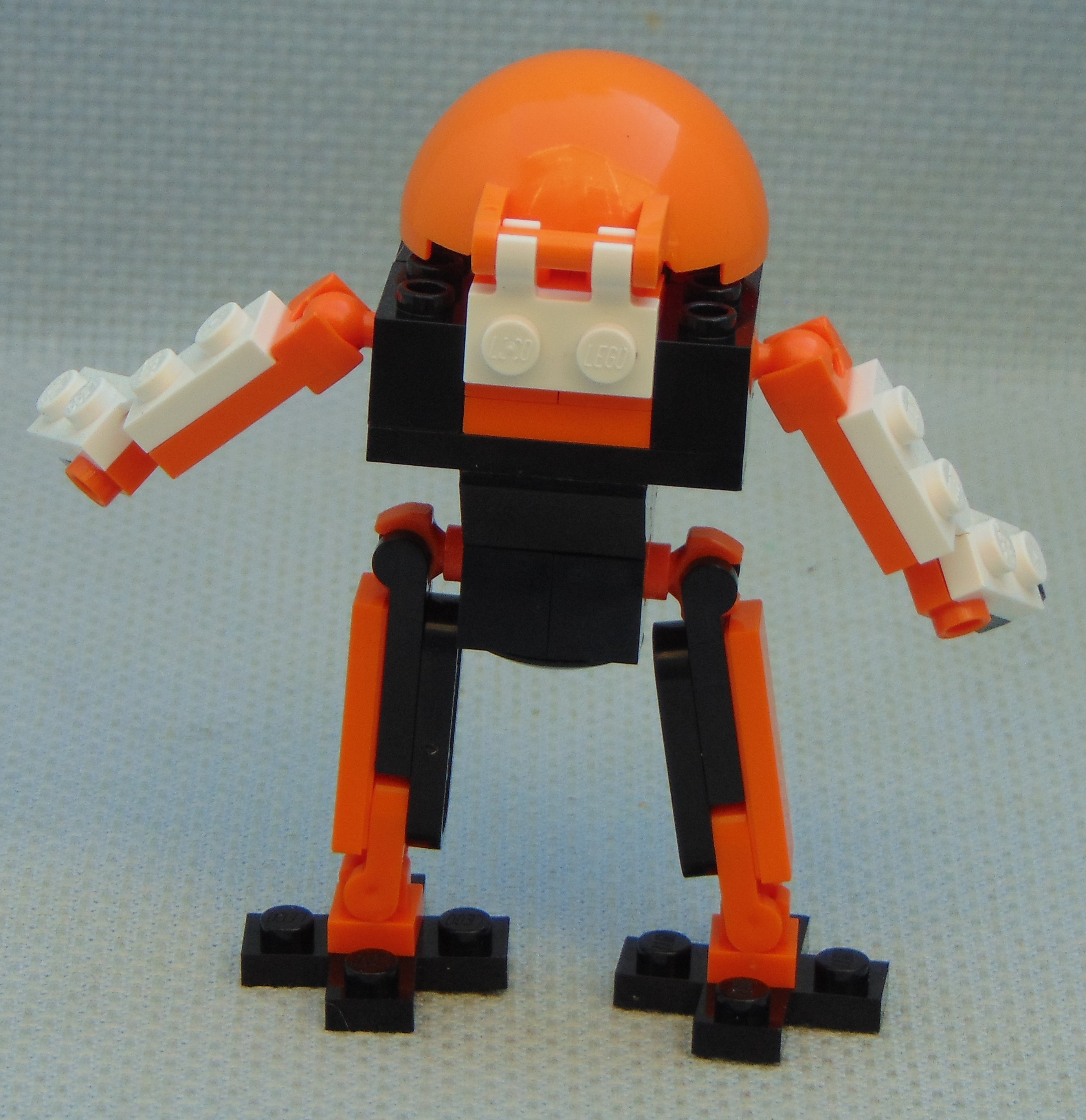 Standing_Turtle__rear.JPG