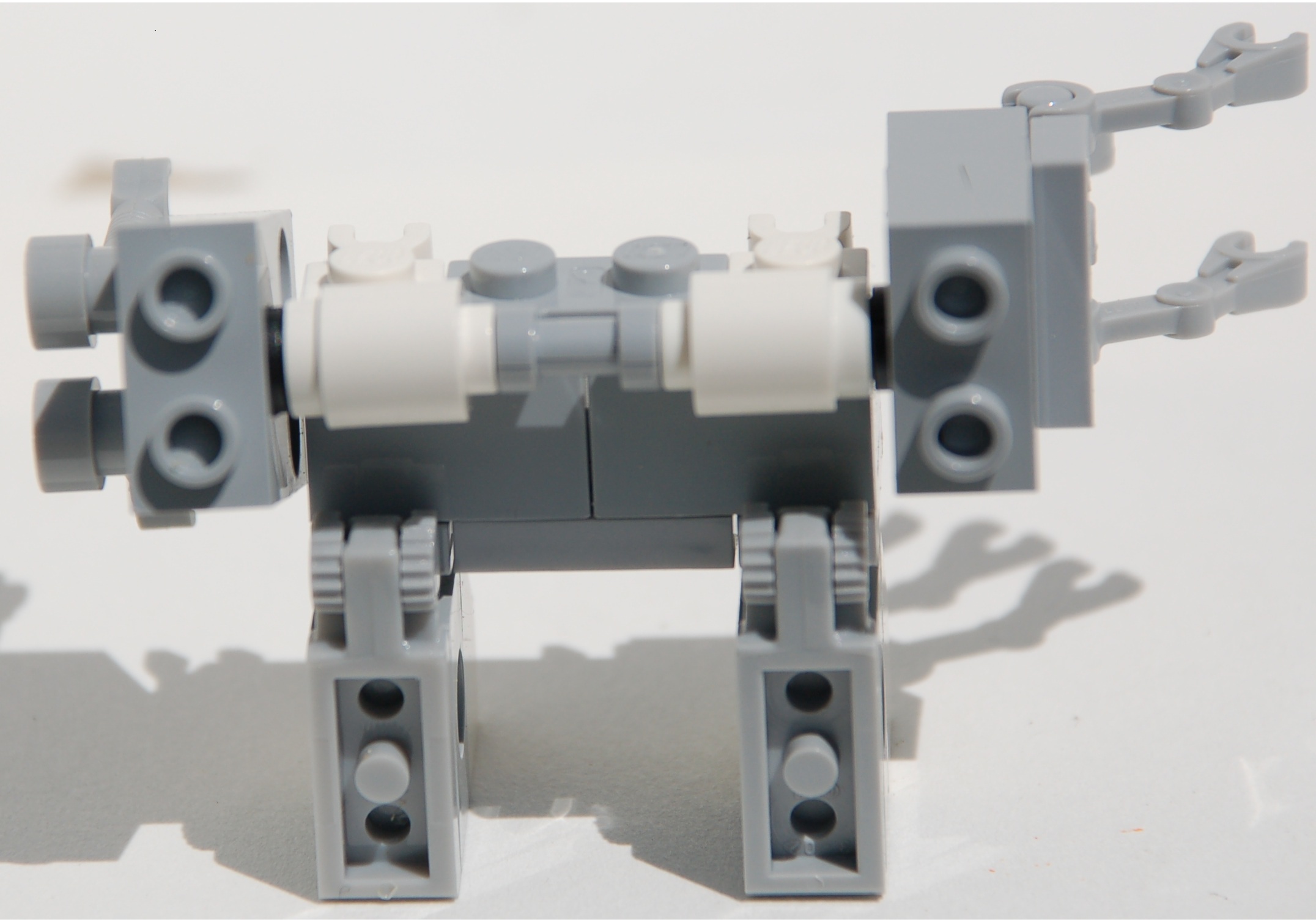 stmp-0__rear.jpg