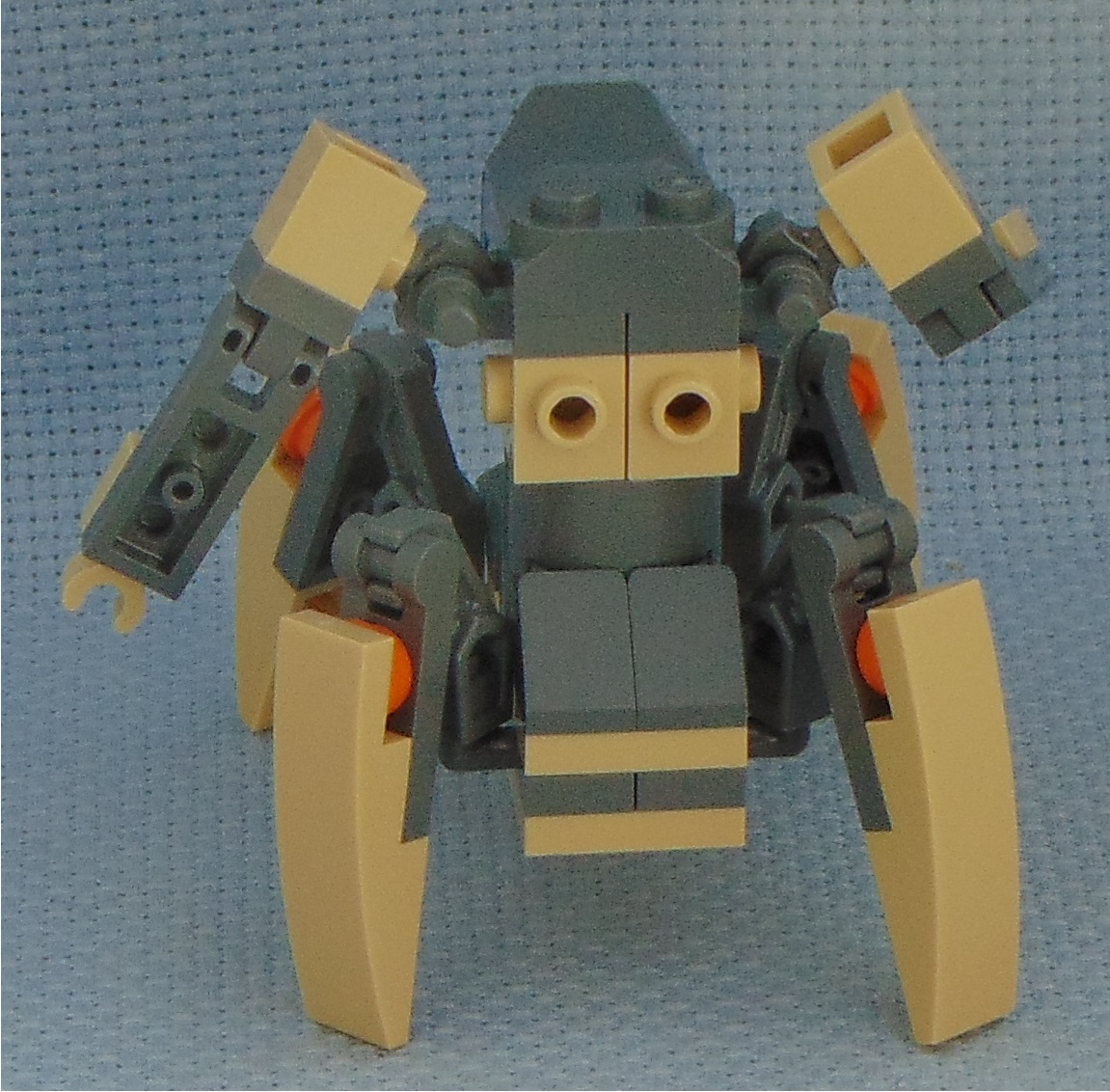 skitterbug__rear.jpg