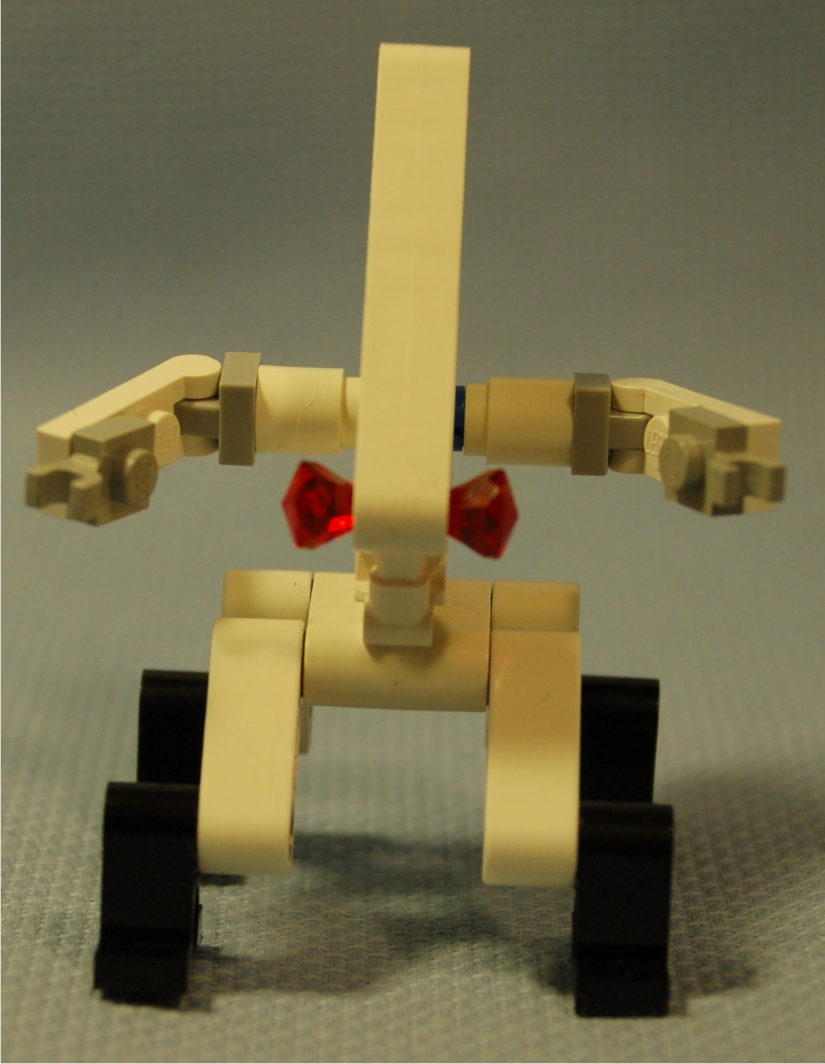 unicorn__front.jpg