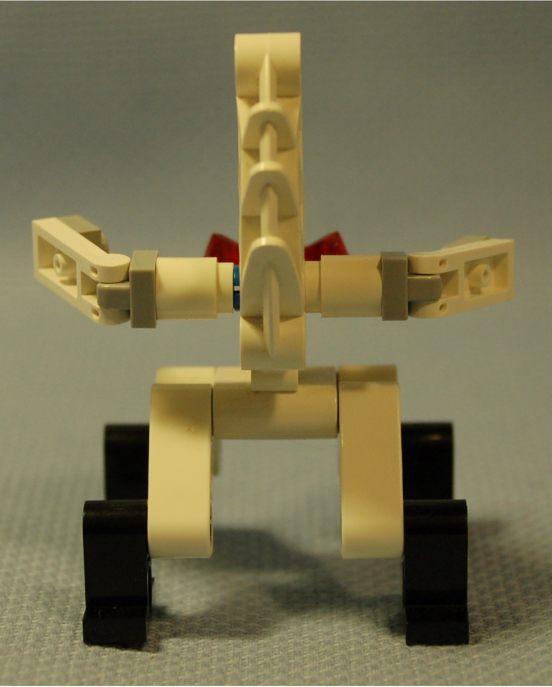 unicorn__rear.jpg
