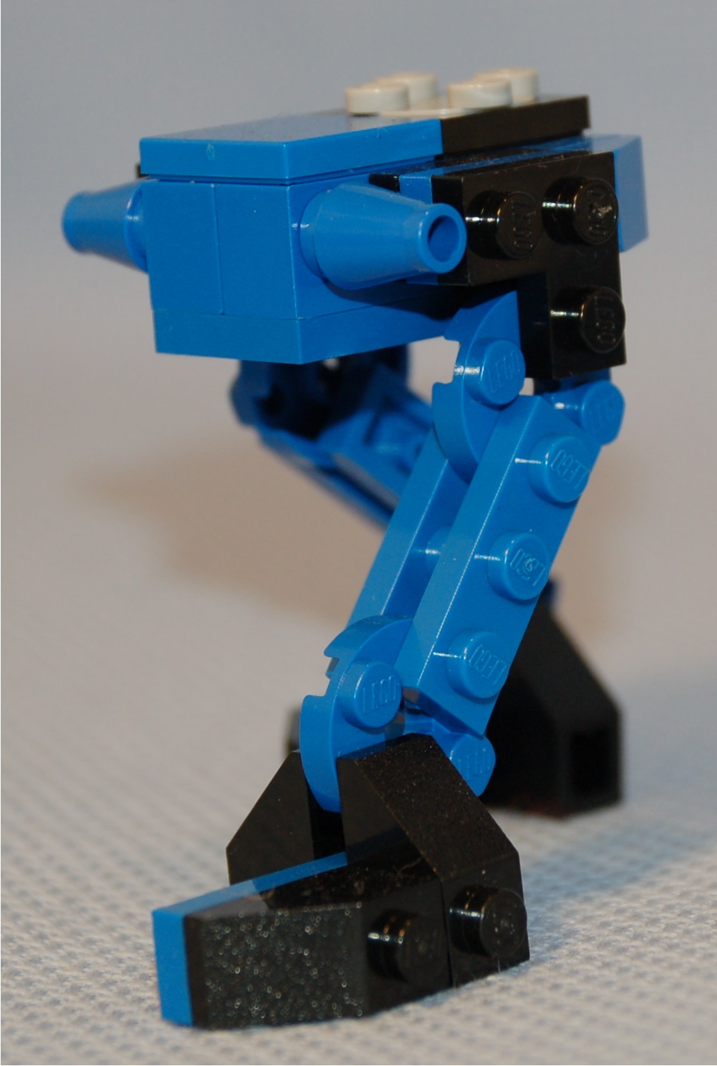 vertical_buffalo__angle.jpg