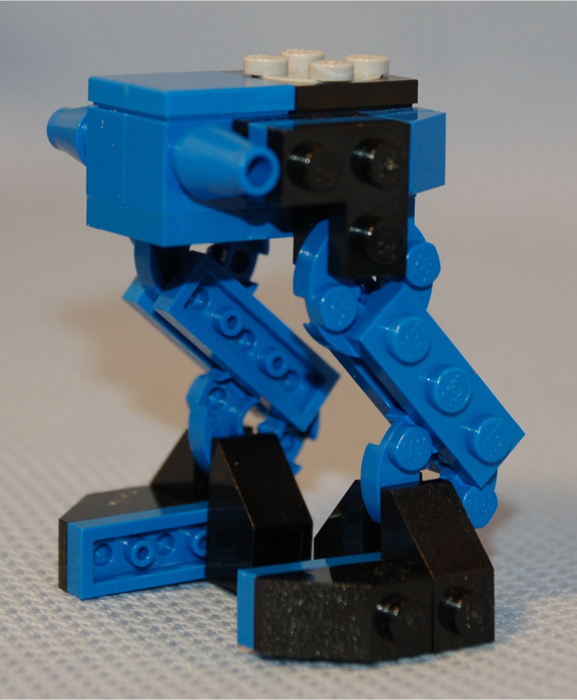 vertical_buffalo__crouched.jpg