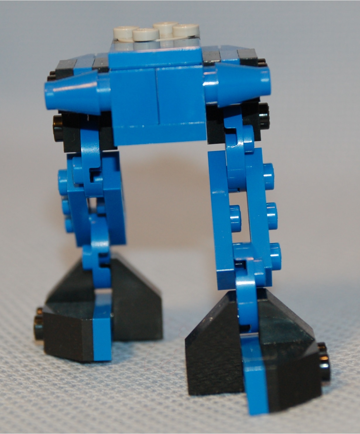 vertical_buffalo__front.jpg