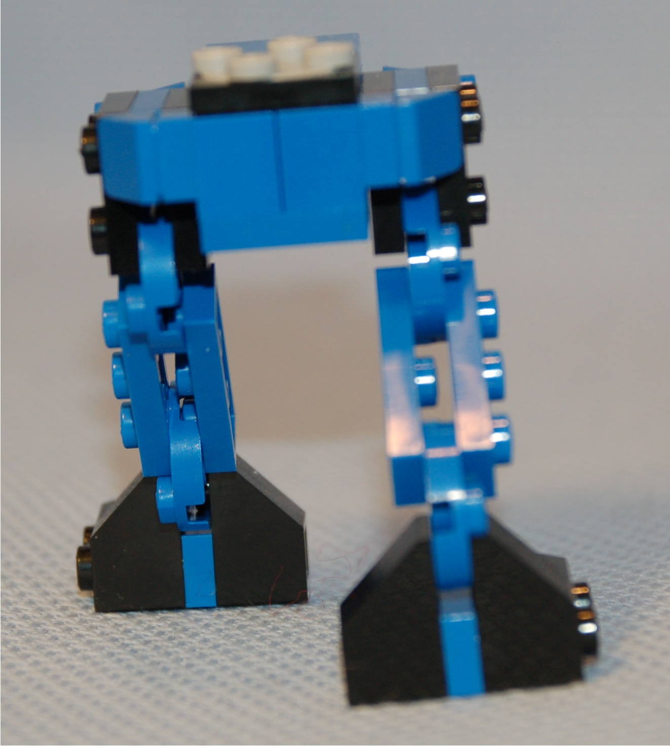 vertical_buffalo__rear.jpg
