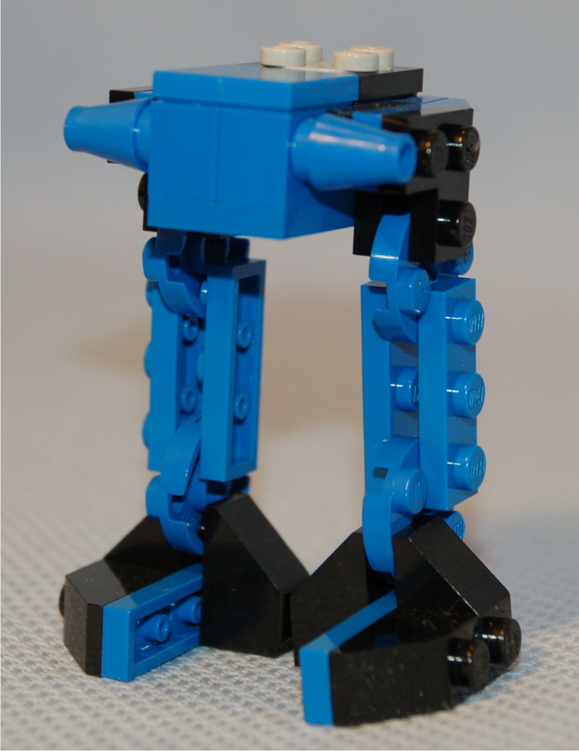 vertical_buffalo__tall.jpg