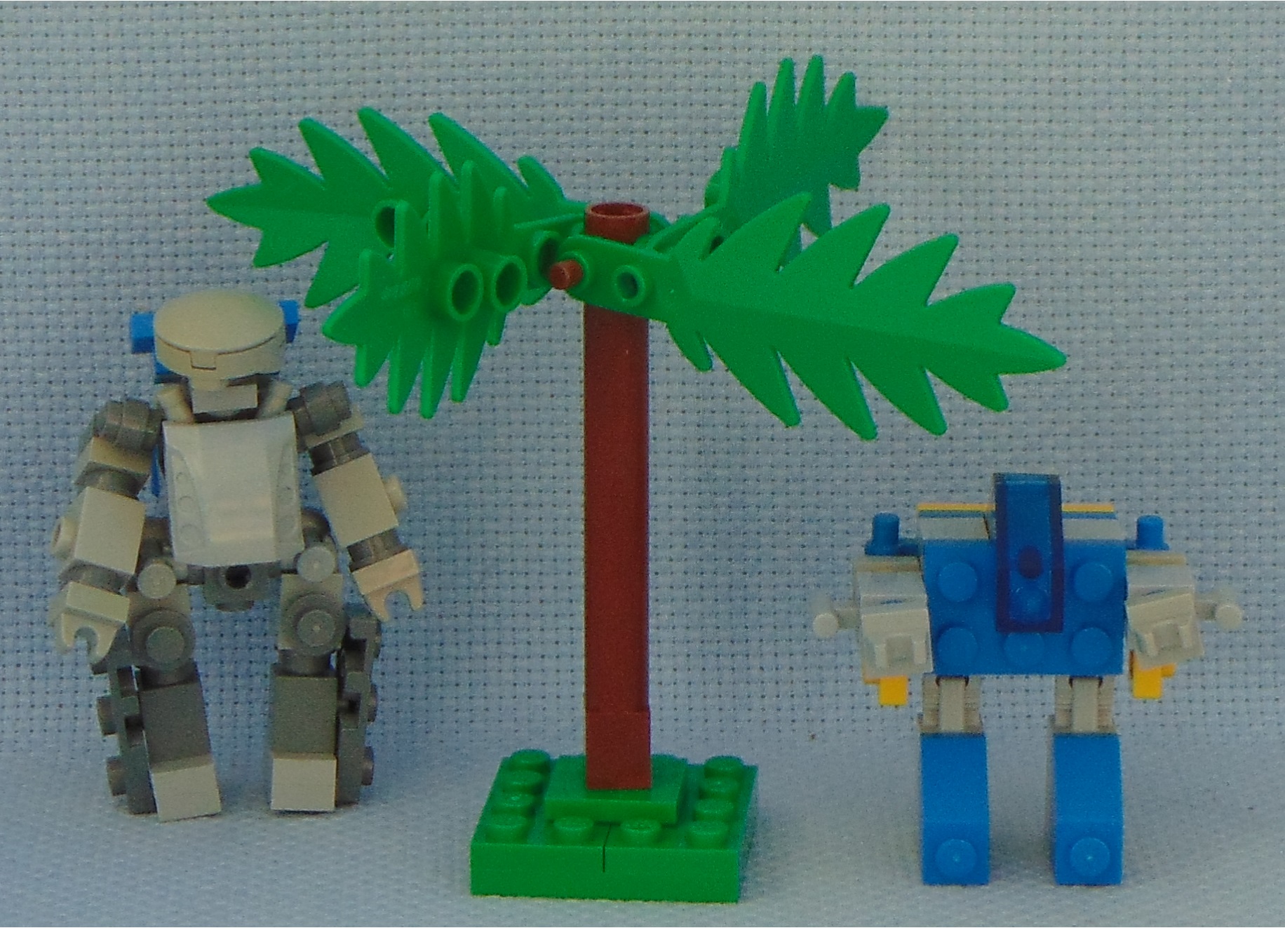 chub__tree_1__and_classic.jpg