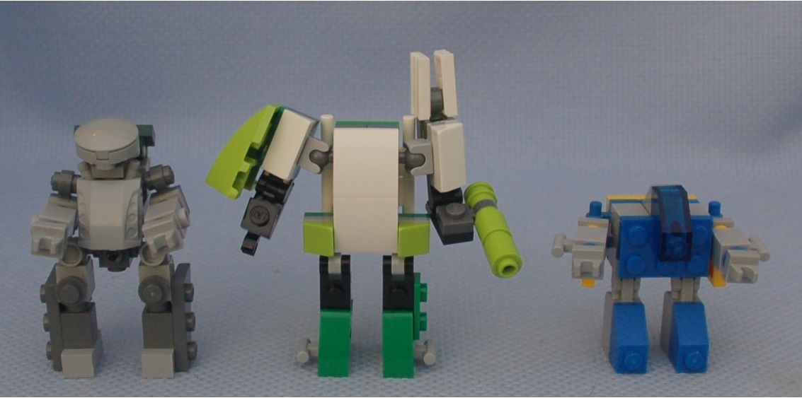 chub__turtle__and_classic.jpg