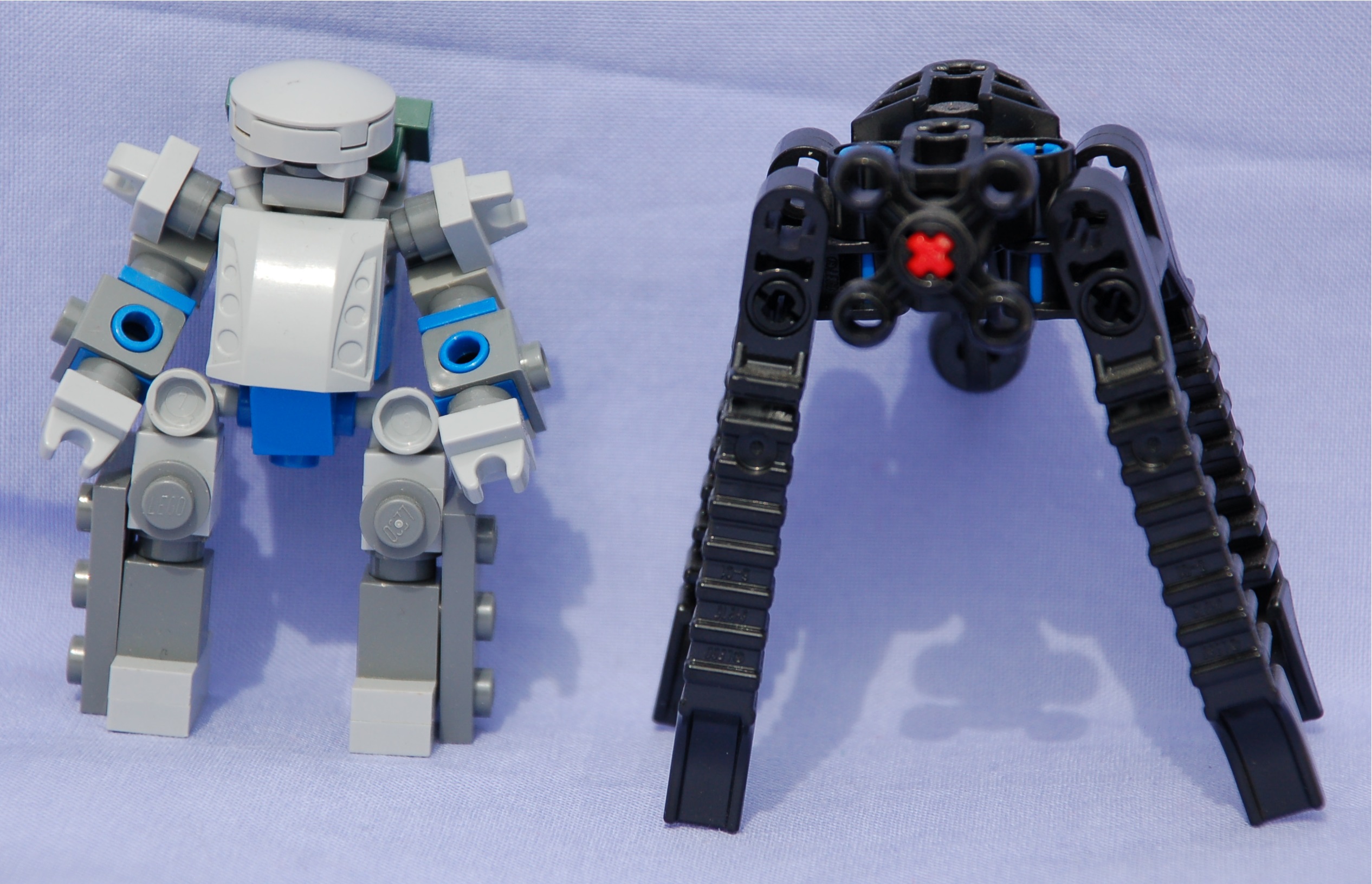 chub_and_ocular_ant.jpg