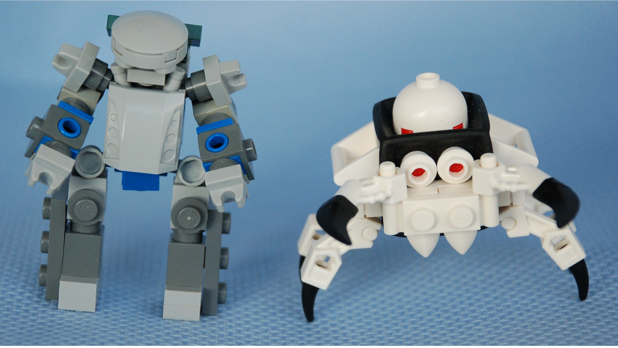 chub_and_white_spider.jpg