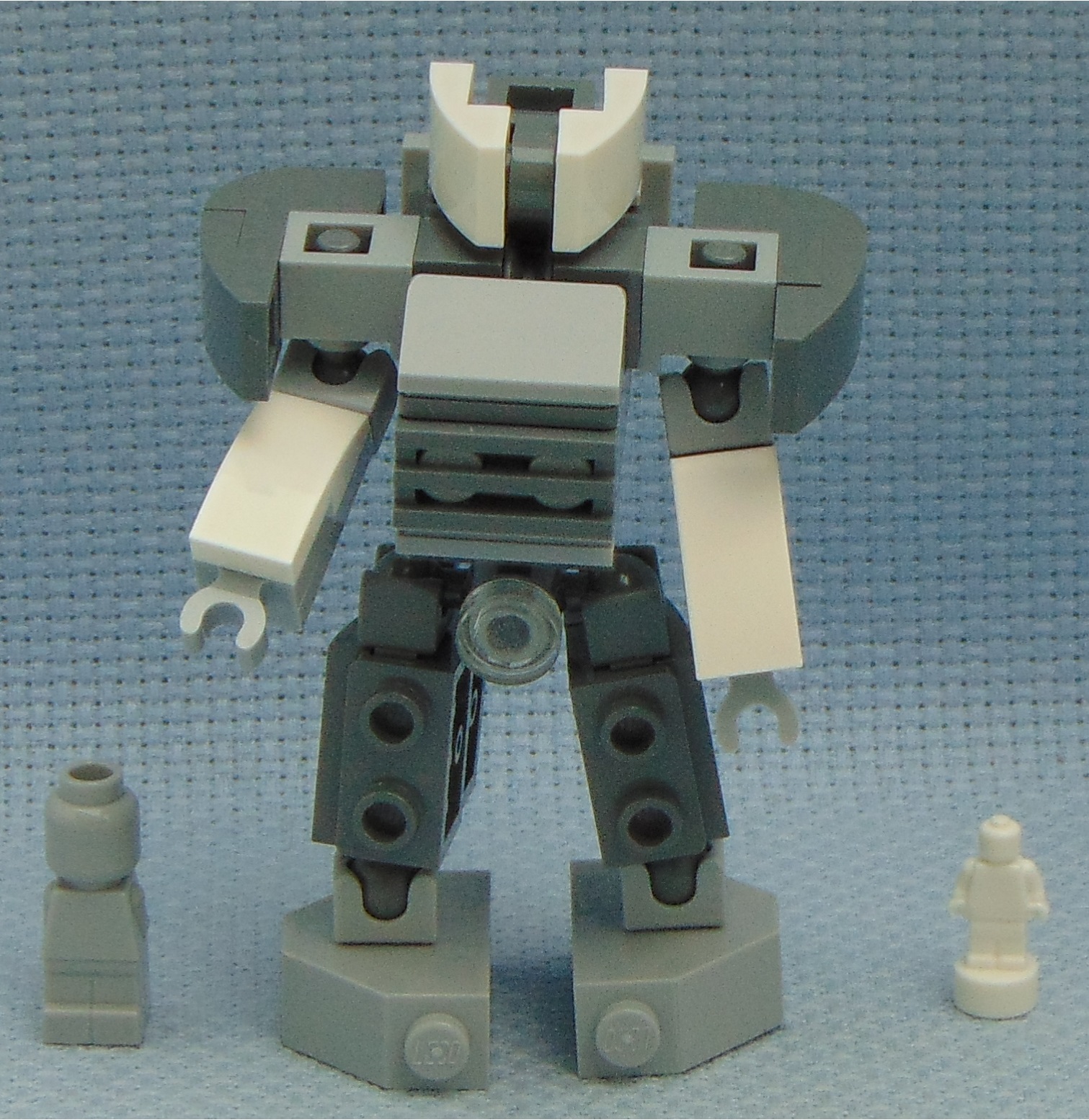 microfig__protector__and_nanofig.jpg