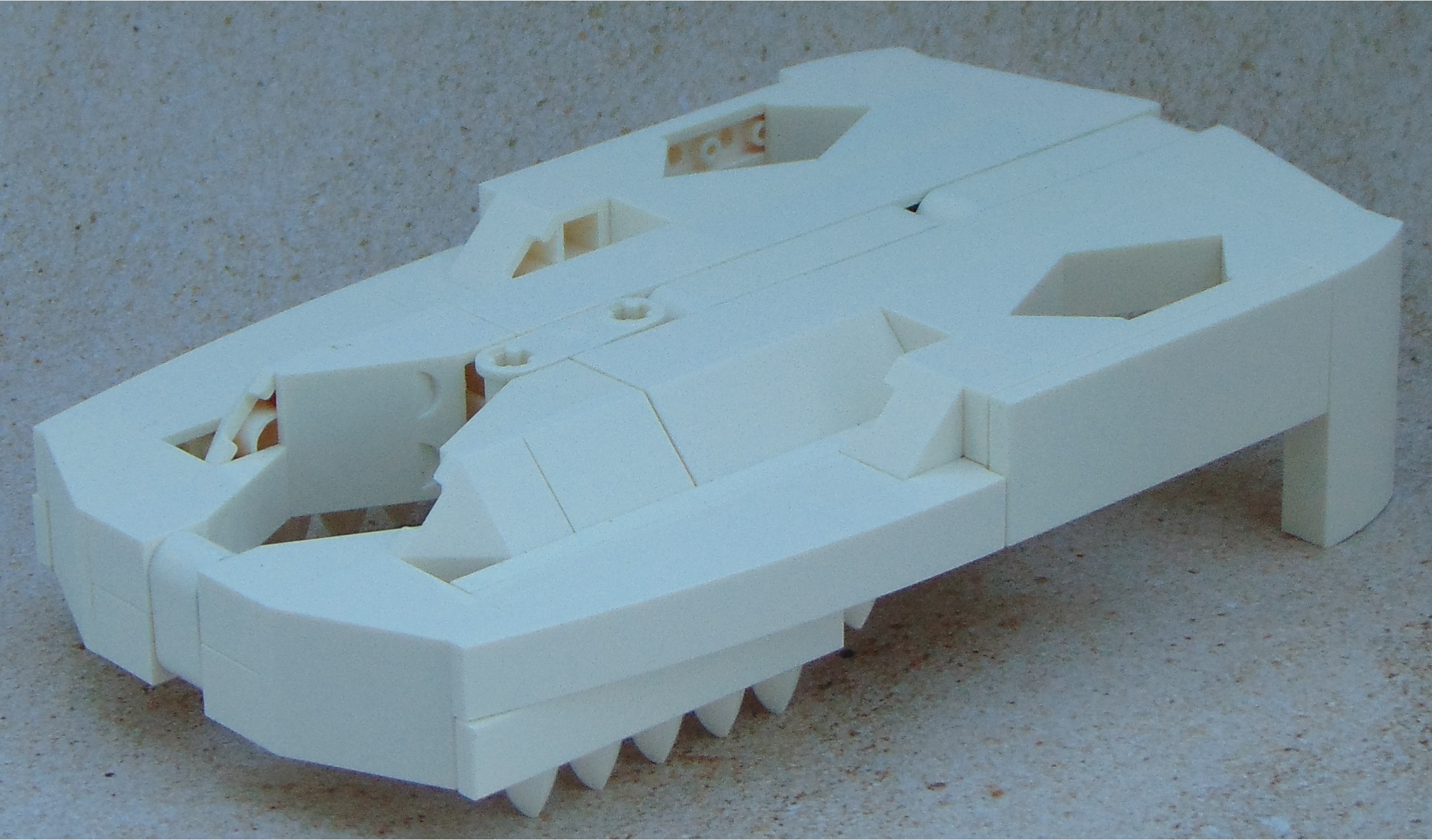 animal_skull__angle.jpg