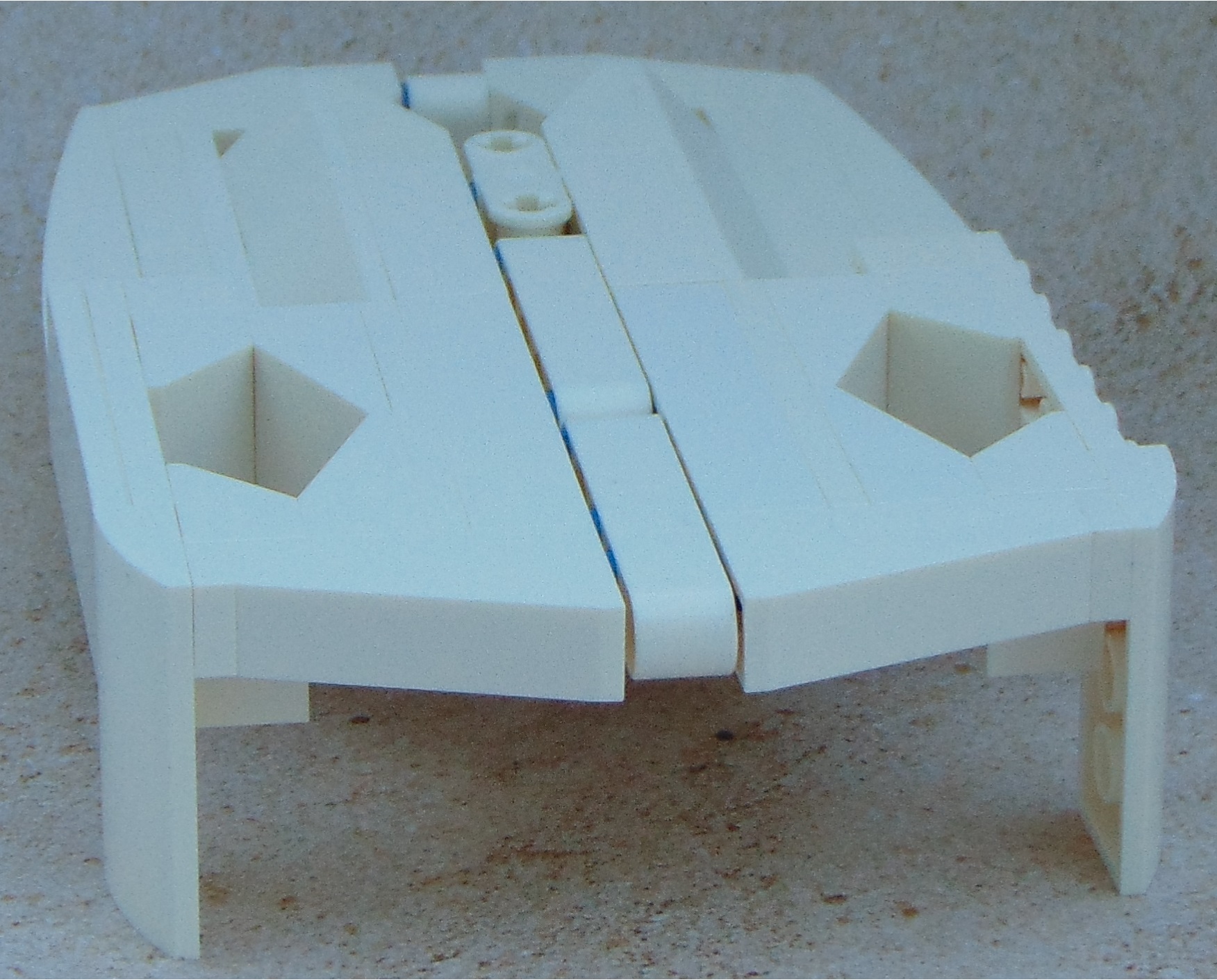 animal_skull__rear.jpg