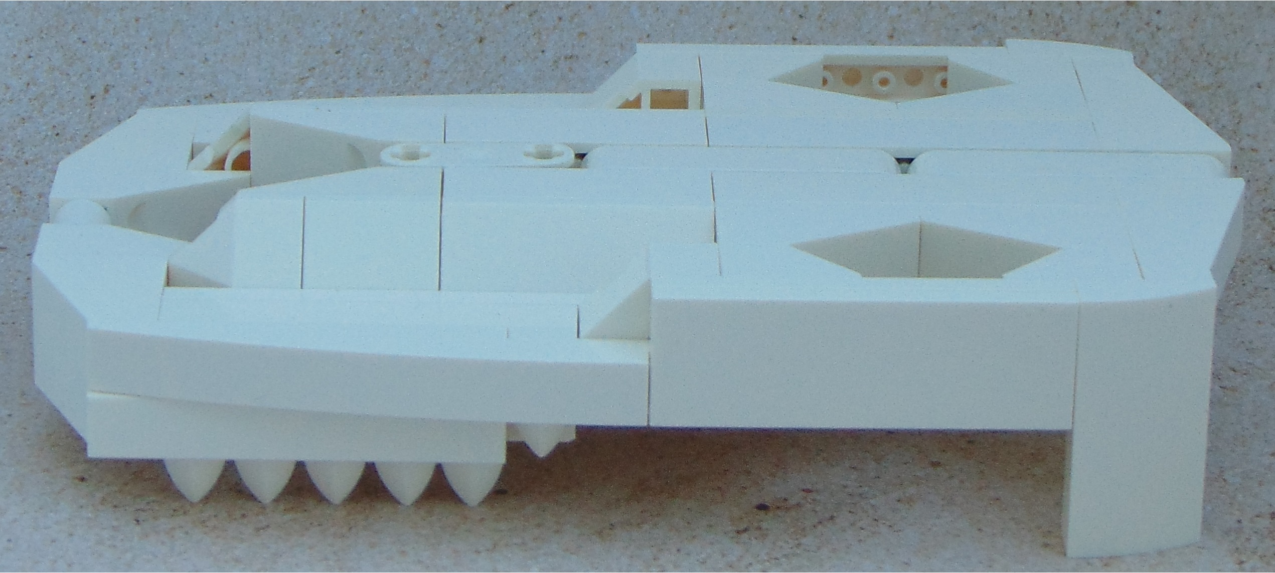animal_skull__side.jpg