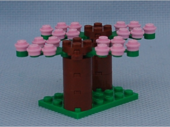 cherry_trees__angle.jpg