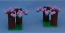 cherry_trees_1.jpg