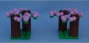 cherry_trees_2.jpg
