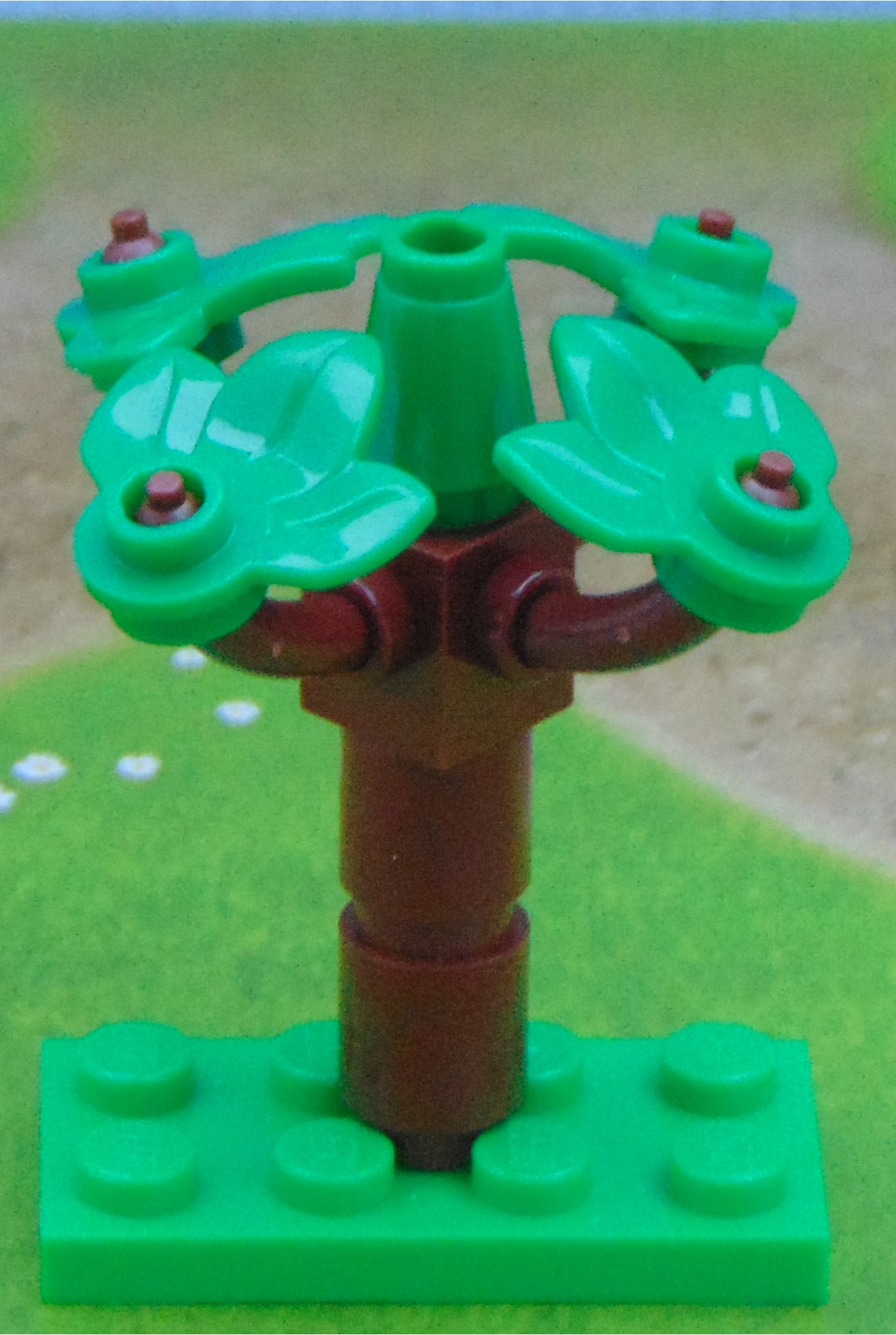 small_tree_1__action.jpg