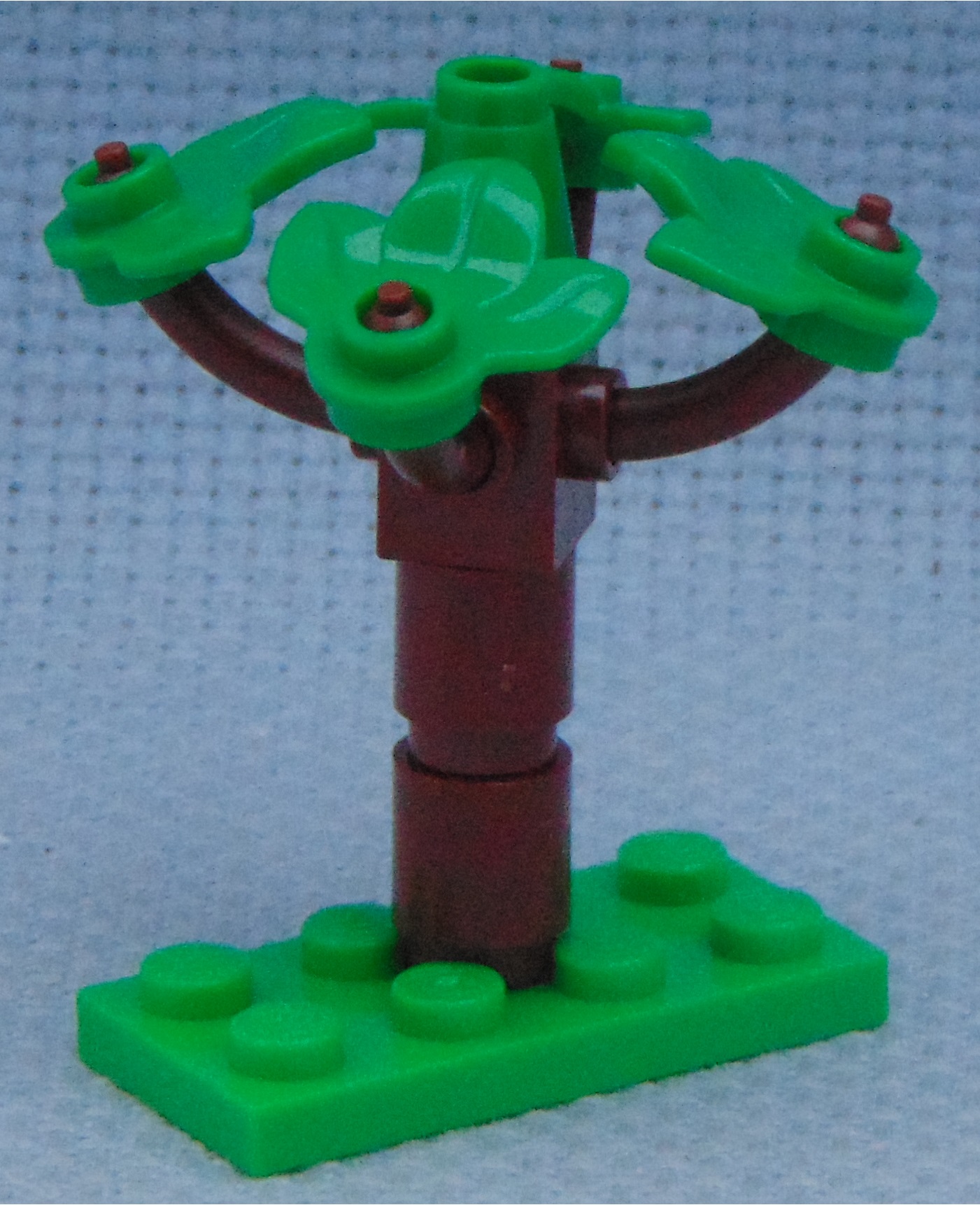 small_tree_1__angle.jpg