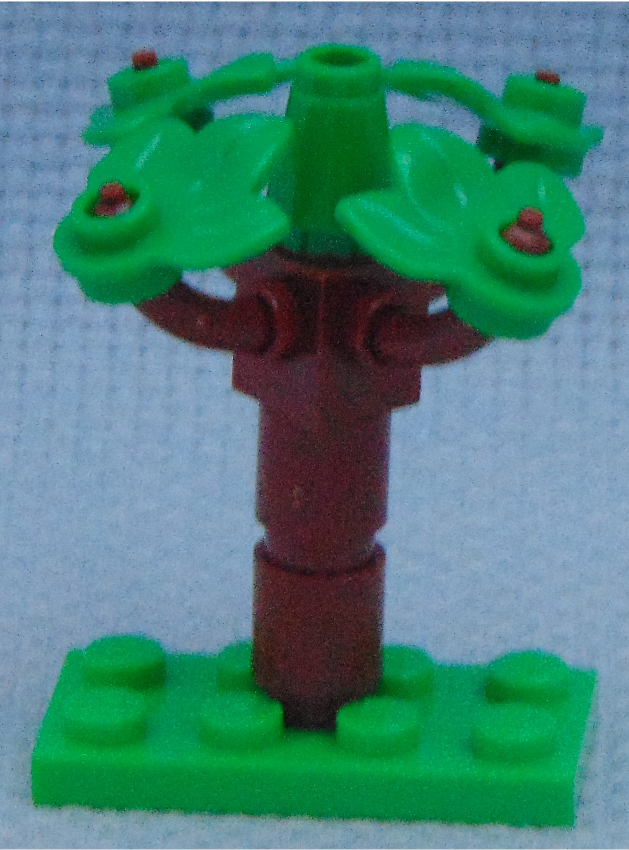 small_tree_1__front.jpg