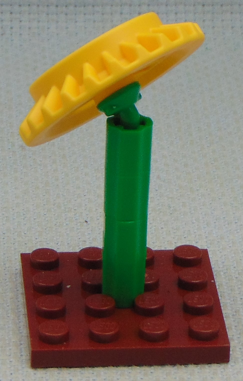 Sunflower__left.JPG