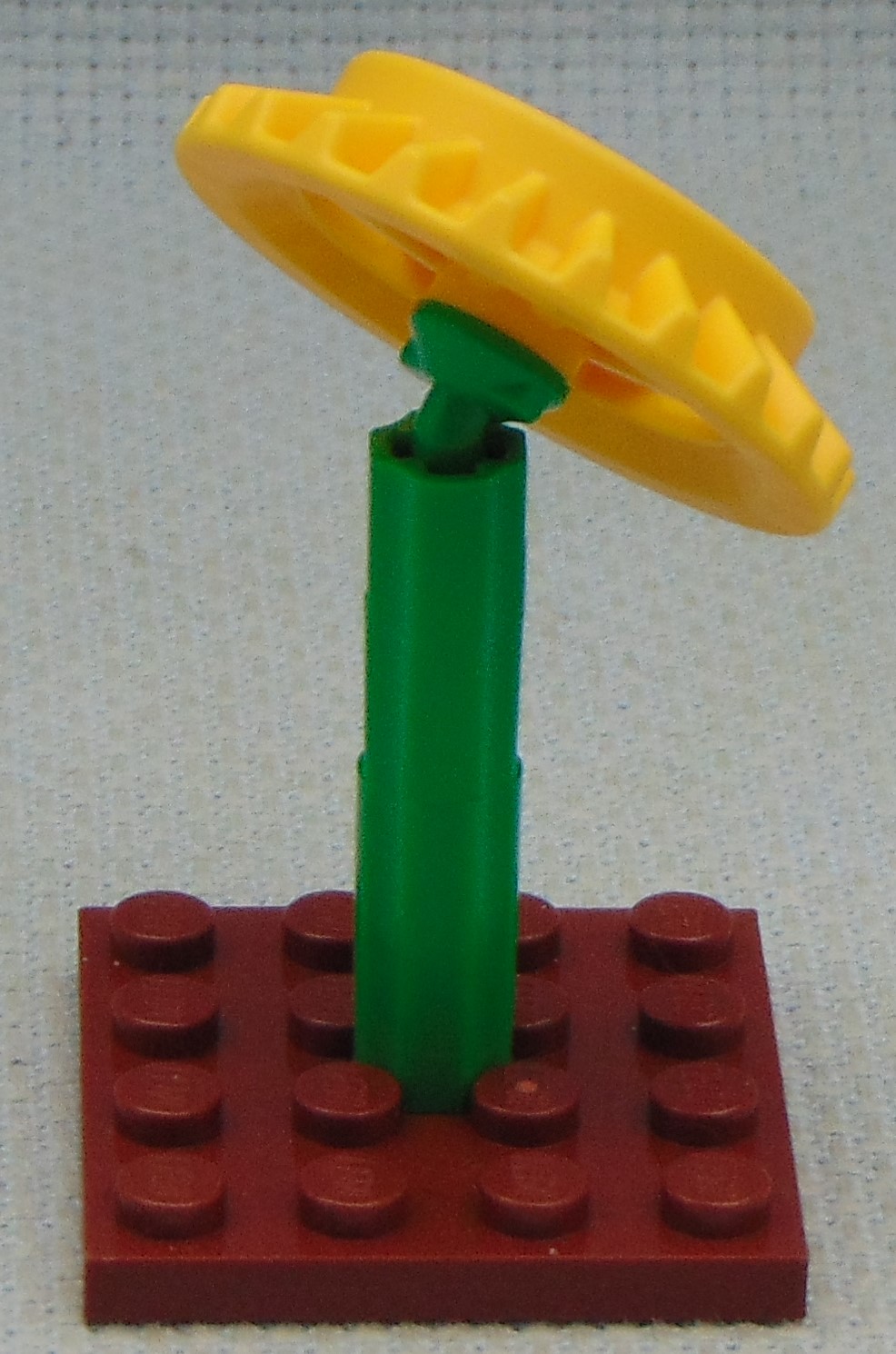 Sunflower__rear.JPG
