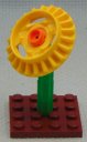 Sunflower__front.JPG