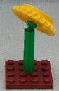 Sunflower__rear.JPG