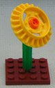 Sunflower__right.JPG