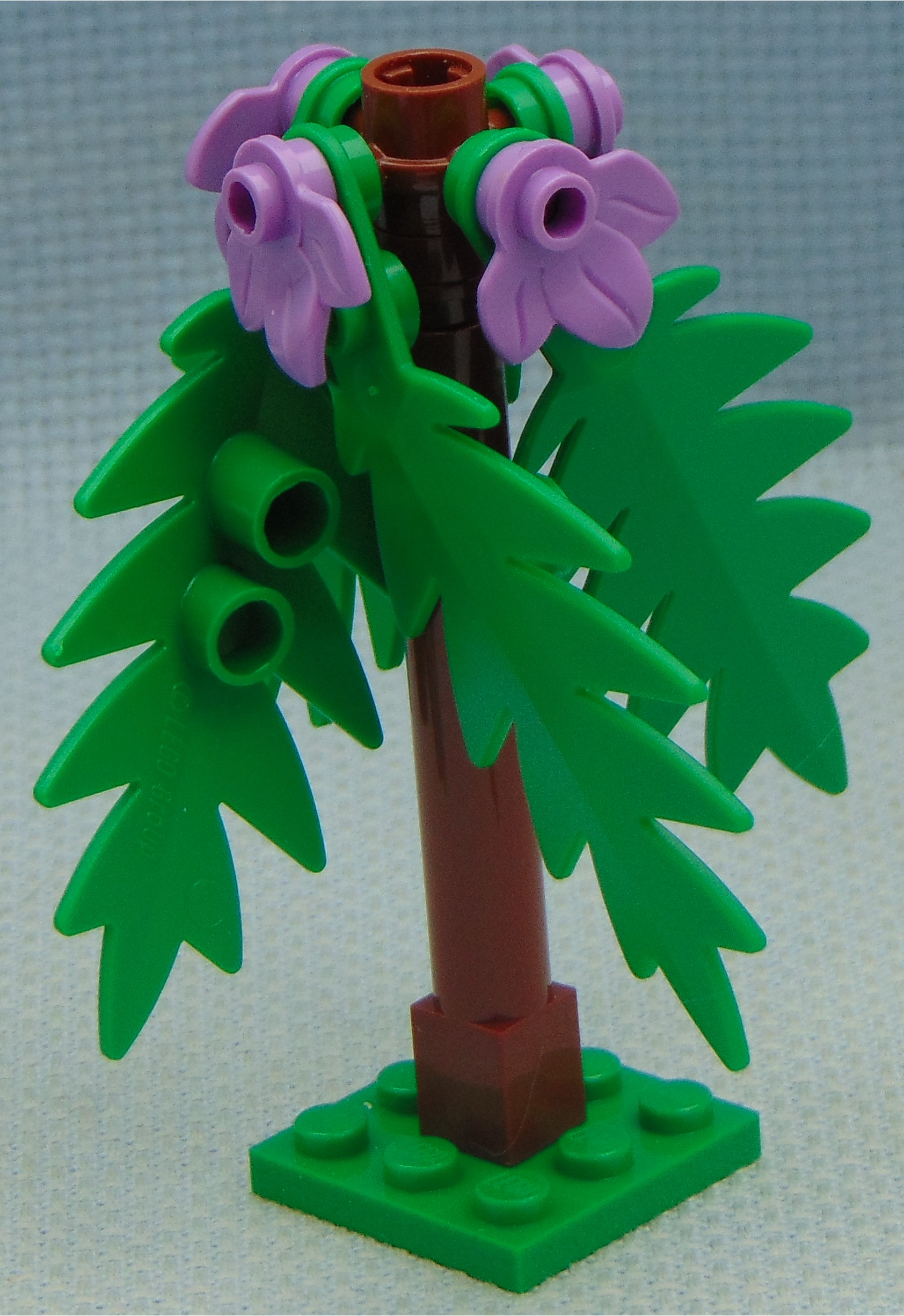 tree_1.3.1__angle.jpg