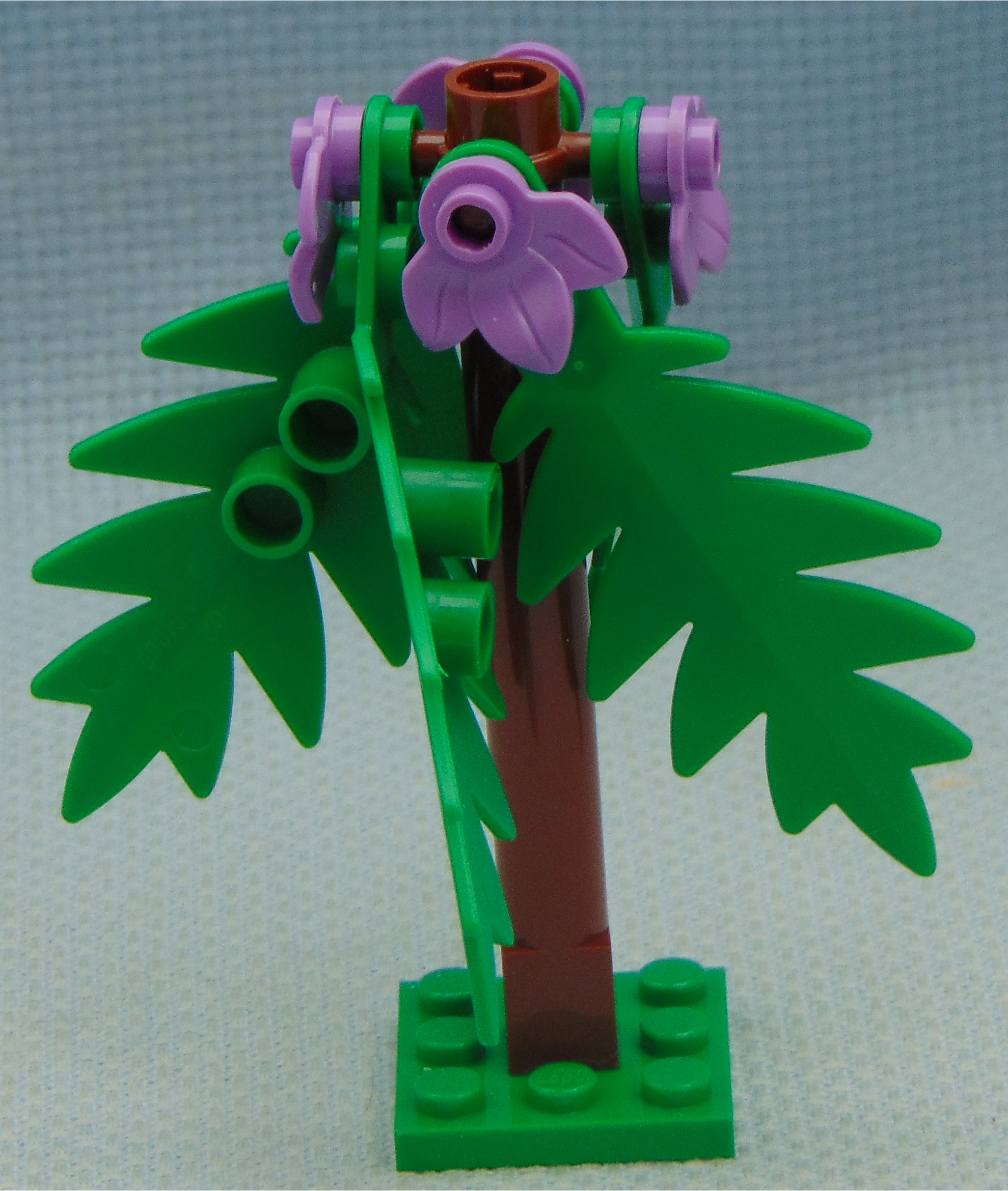 tree_1.3.1__front.jpg