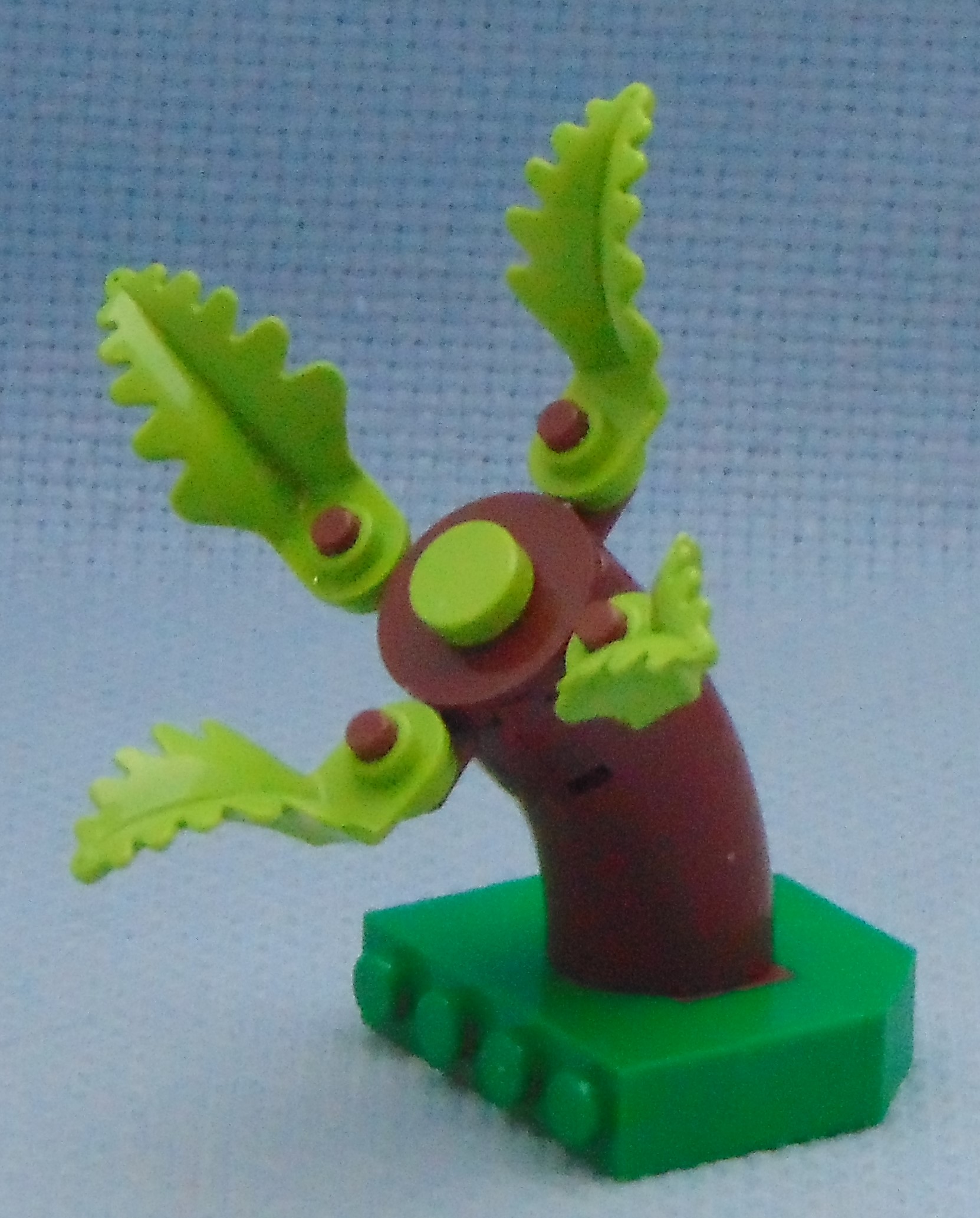 tree_17.1__angle.jpg