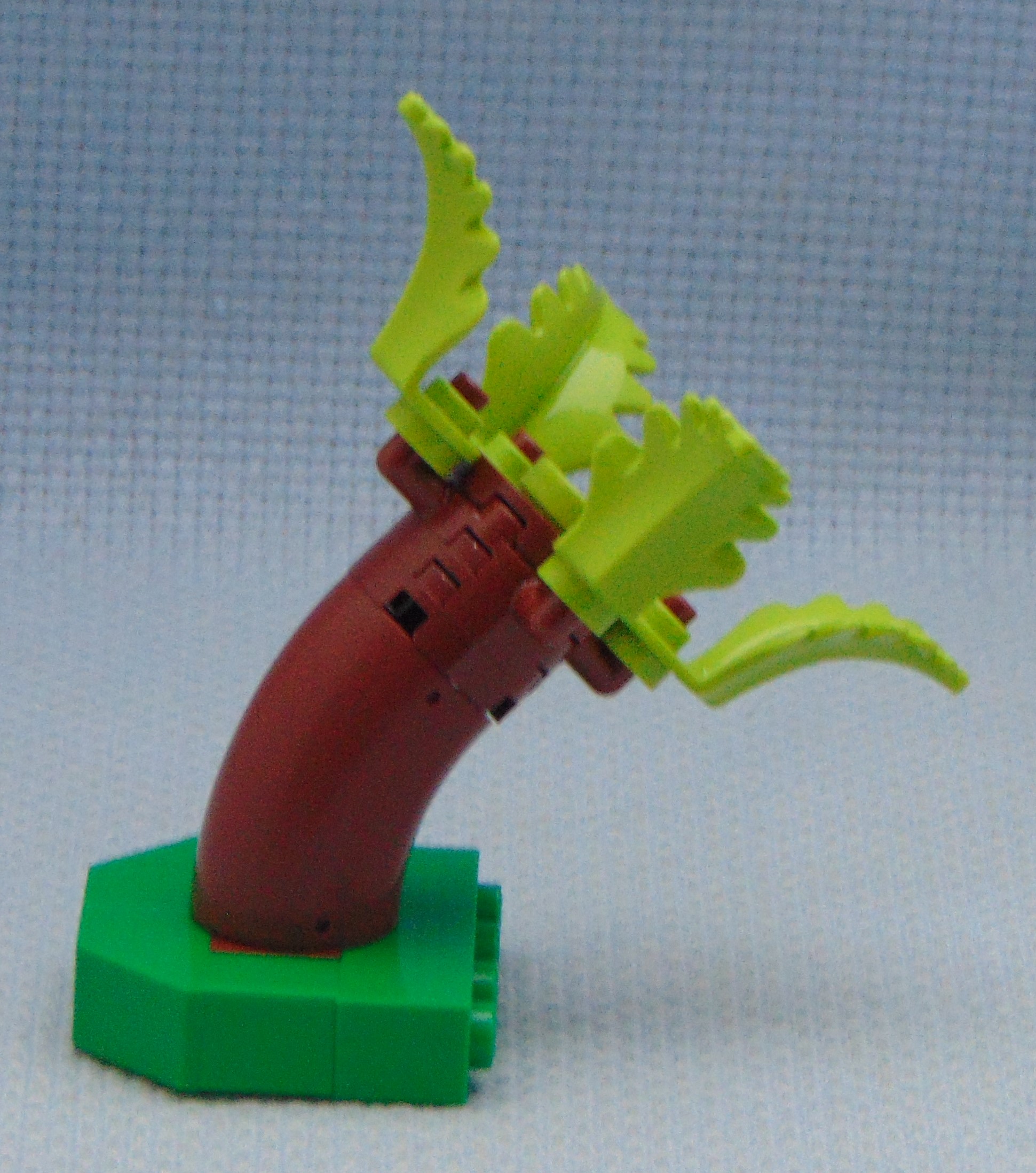 tree_17.1__side.jpg