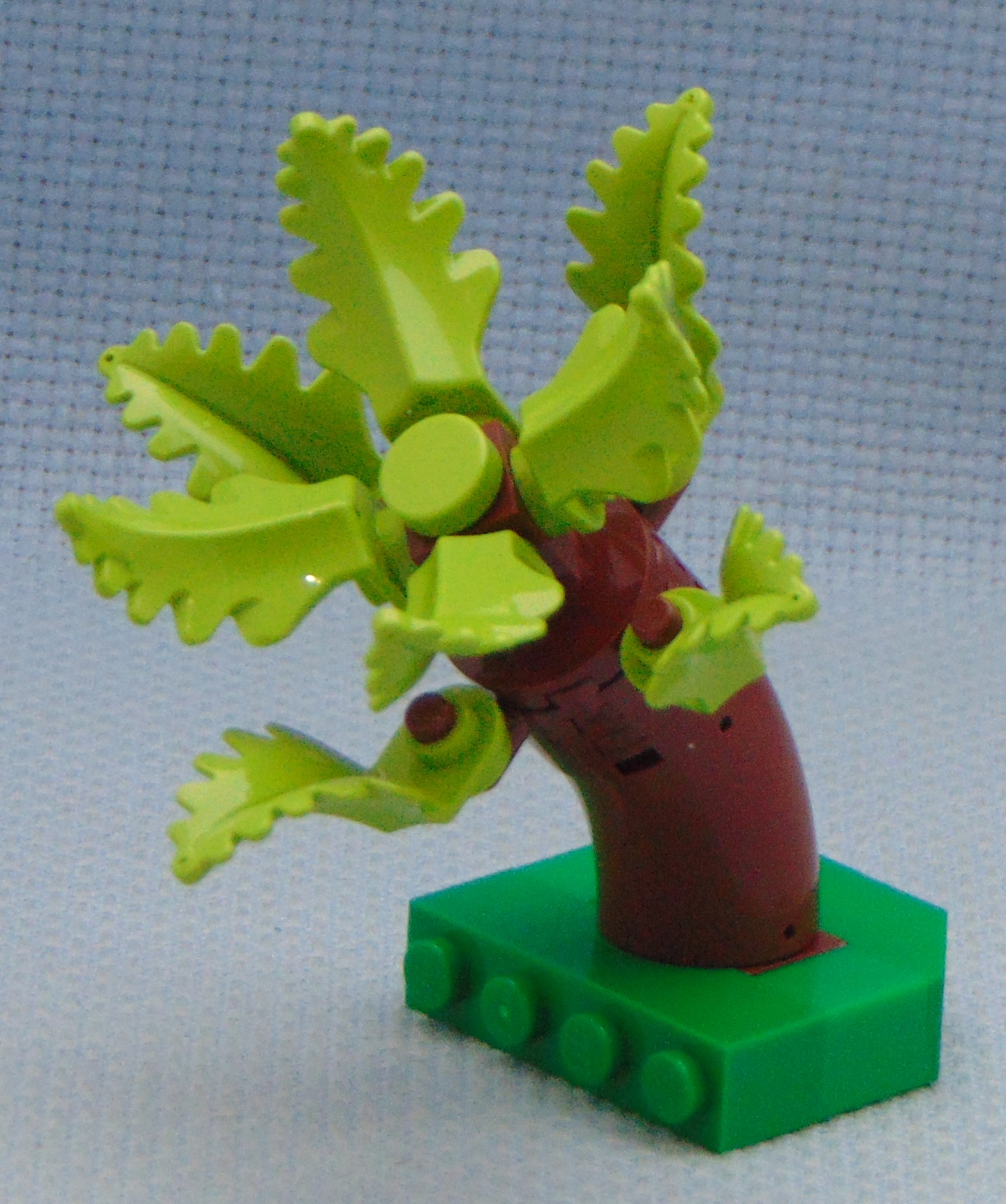 tree_17.2__angle.jpg